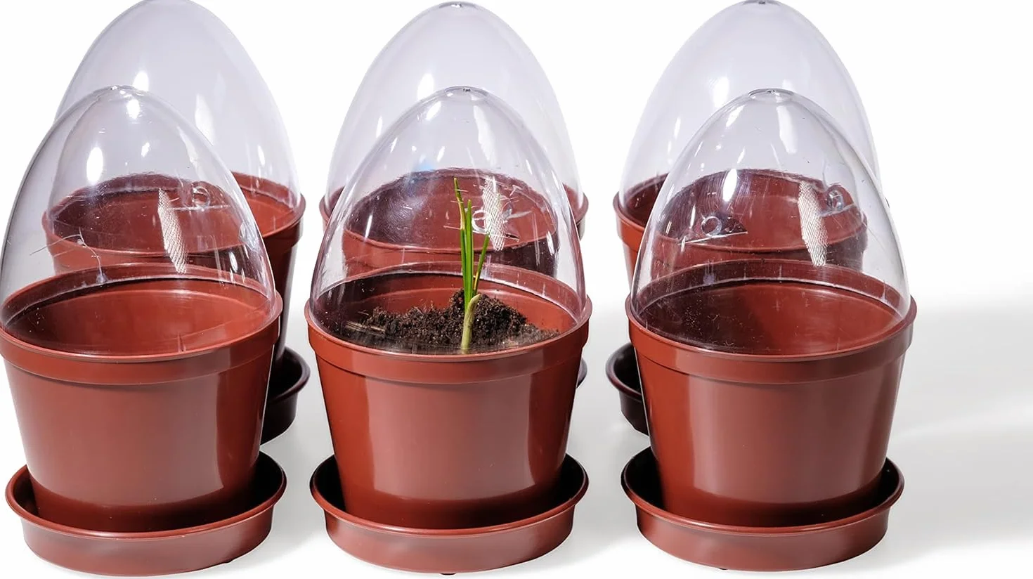 Kimmel Lot de 6 Pots de Culture avec Dôme d'Humidité, Marron
