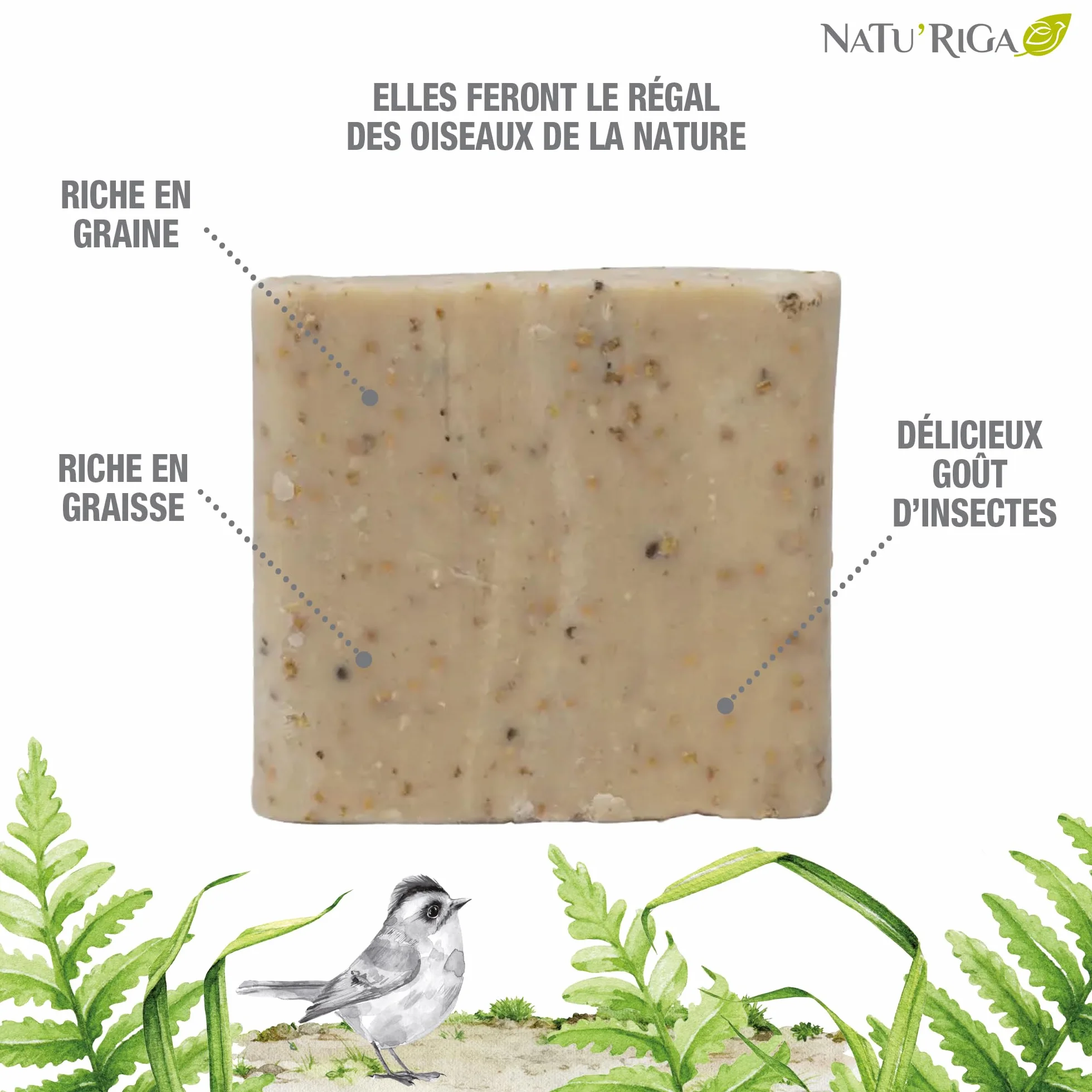 NATU'RIGA Pain De Graisse Aux Graines Et Insectes Nourriture Oiseaux Extérieur 300G