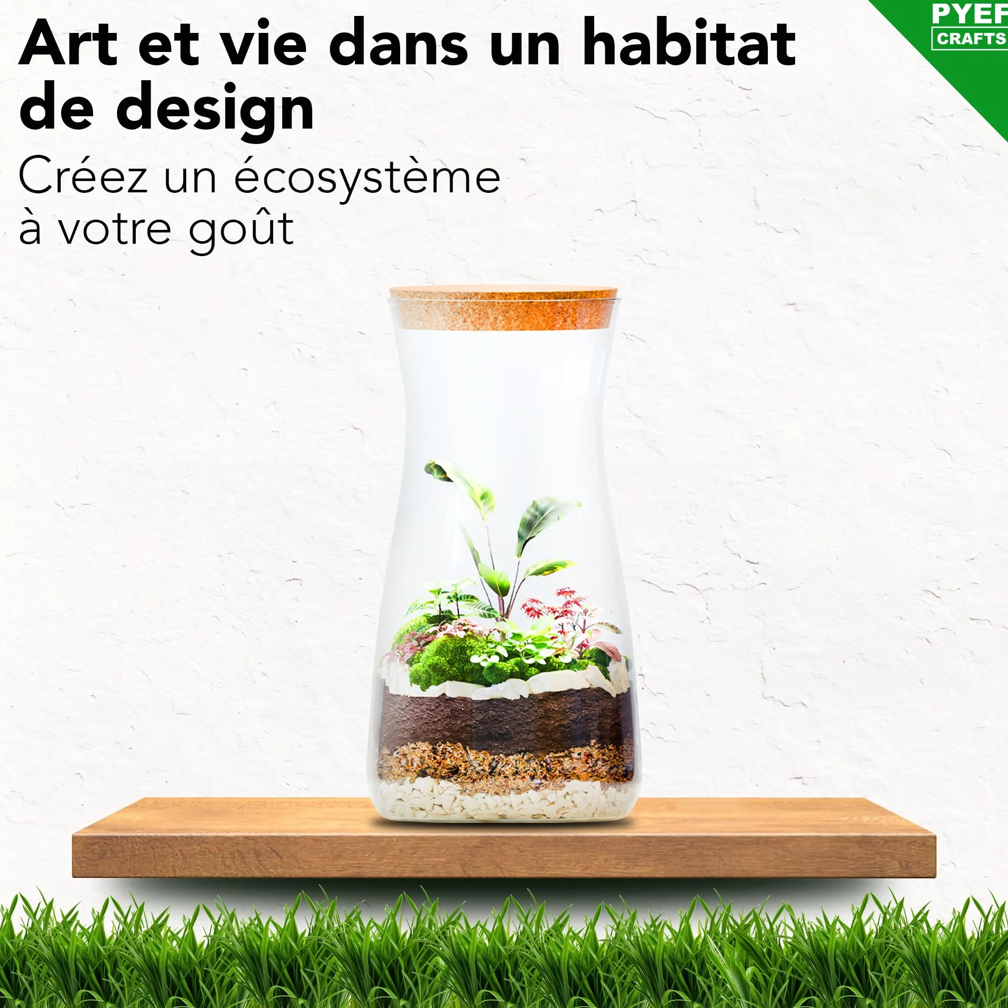 Kit Terrarium Plante DIY Verre - Prêt-à-Pousser Jardin Bouteille - Set Faire Pousser