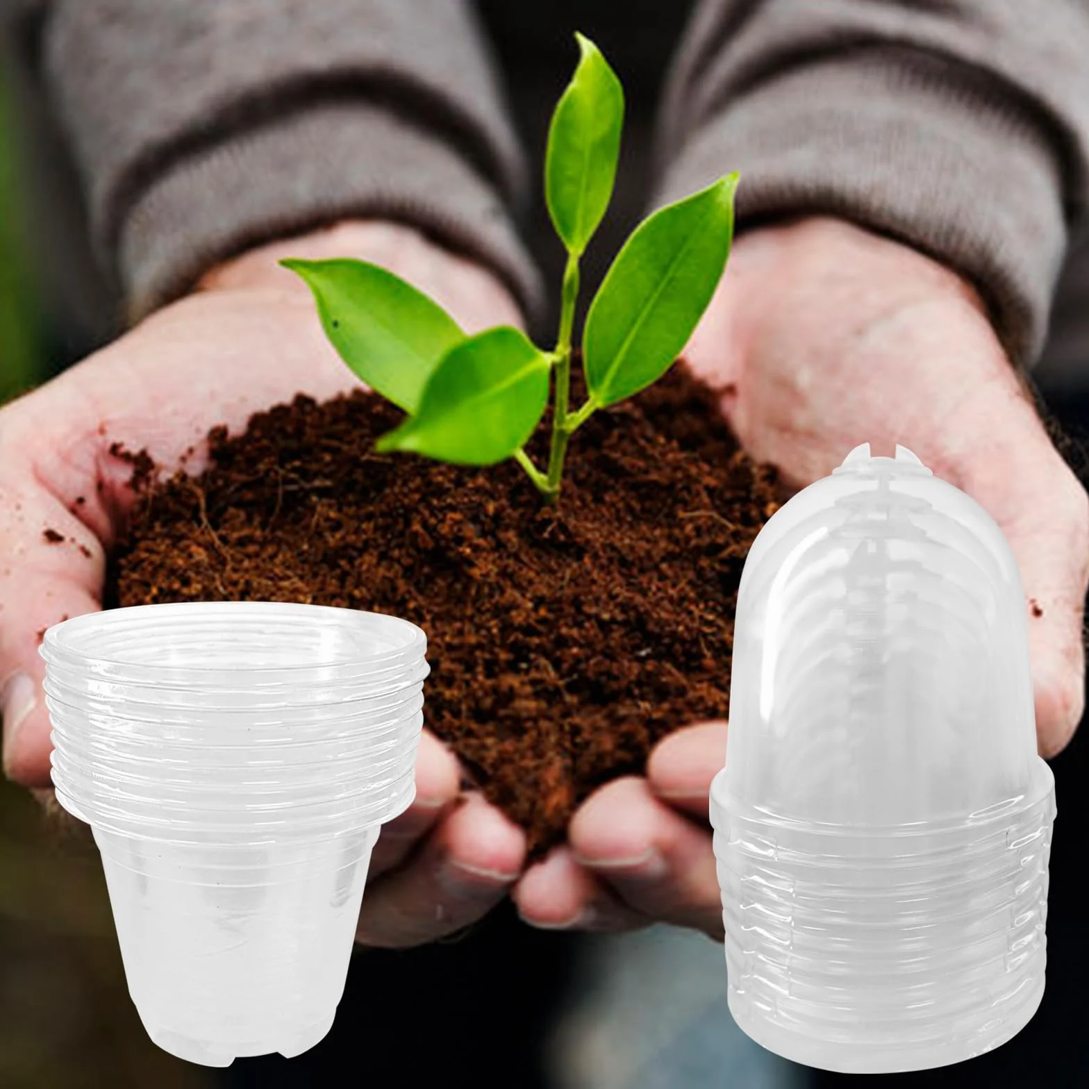 Pots de Semis 9cm Plastique Transparent Godets repiquage avec Trous de Drainage 12 Pièces