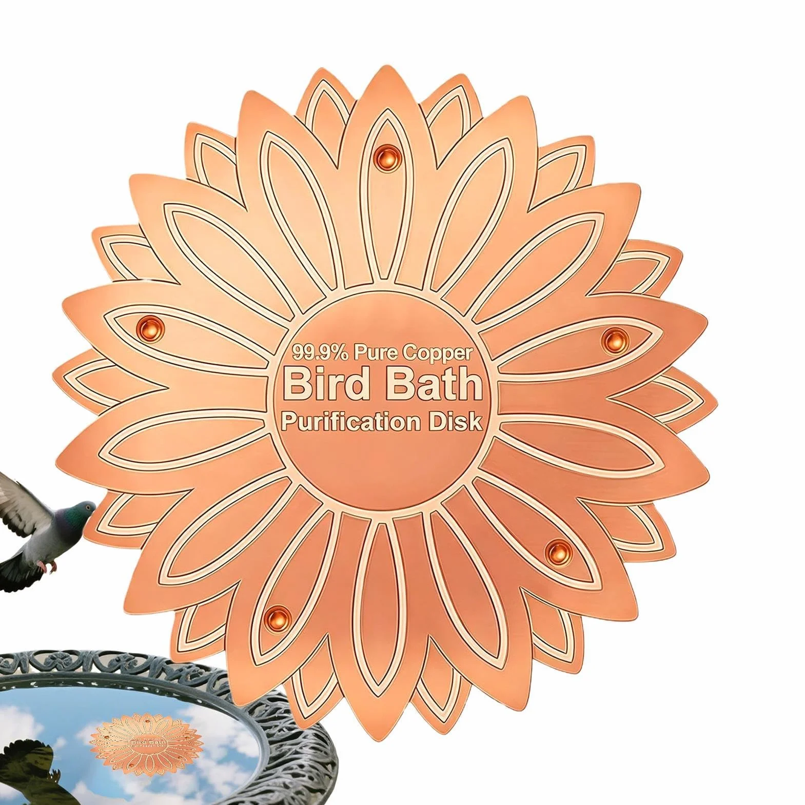 Disque cuivre bain oiseaux fleurs prévention algues jardin