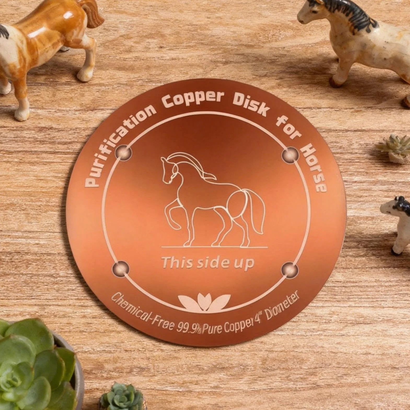 Disque en cuivre pour eau potable - Nettoyage Physique Résistant Aux Intempéries, Purification pour Abreuvoir Chevaux, Bains d'oiseaux, Piscine
