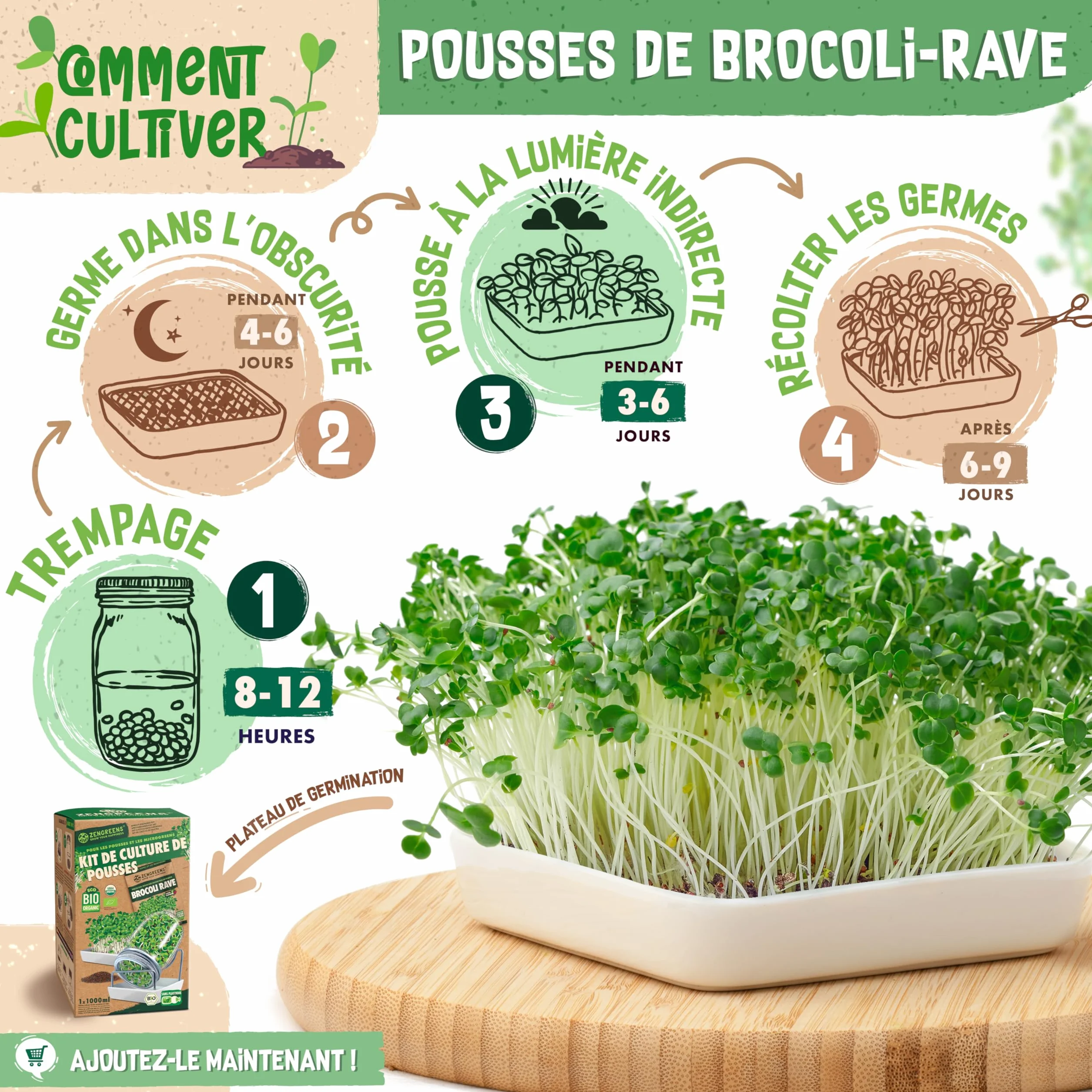 Graines de brocoli bio ZenGreens - Microgreens - 10g, 200g, 500g - Taux de germination 97%