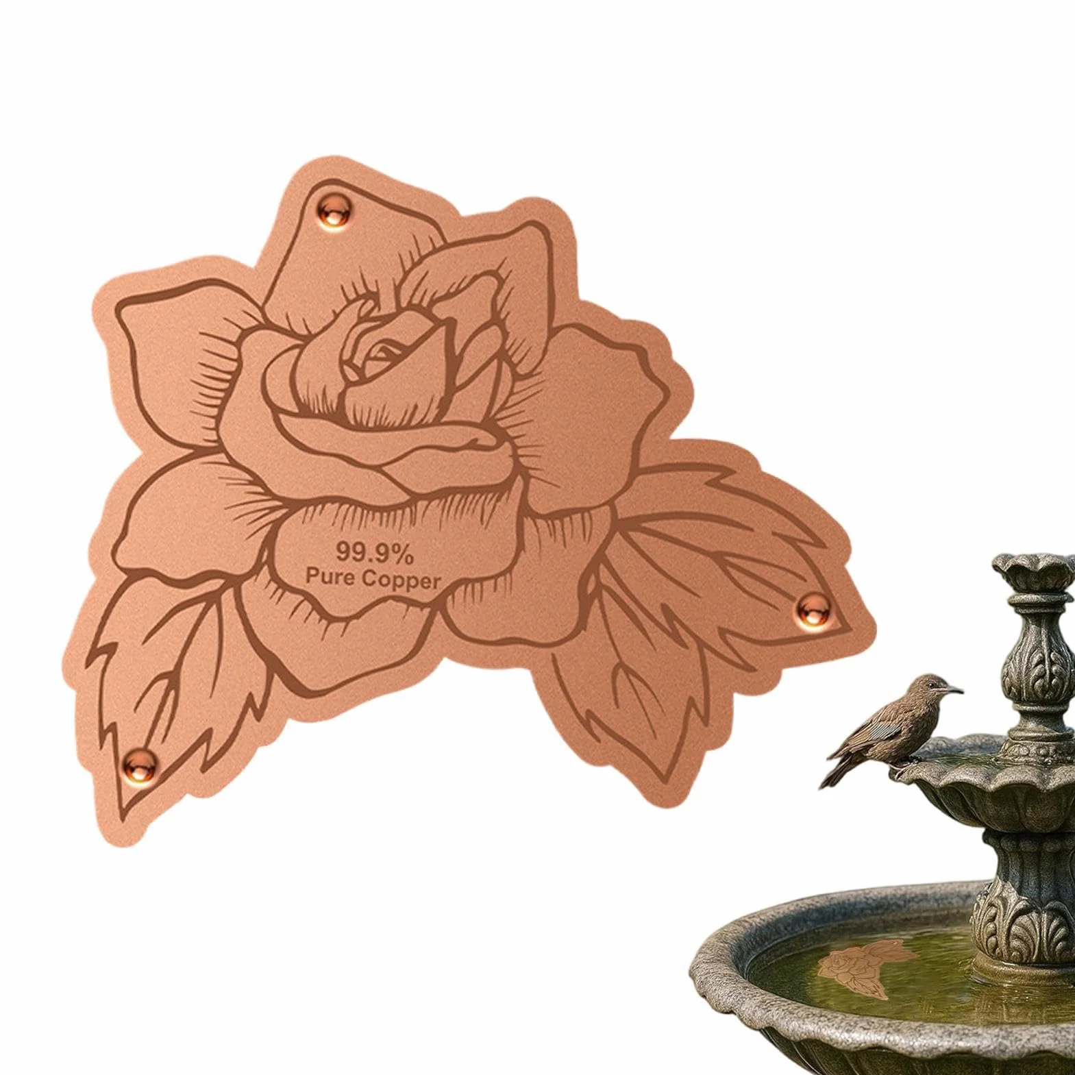 Disque en cuivre purificateur d'eau pour bain d'oiseaux - Extérieur Jardin
