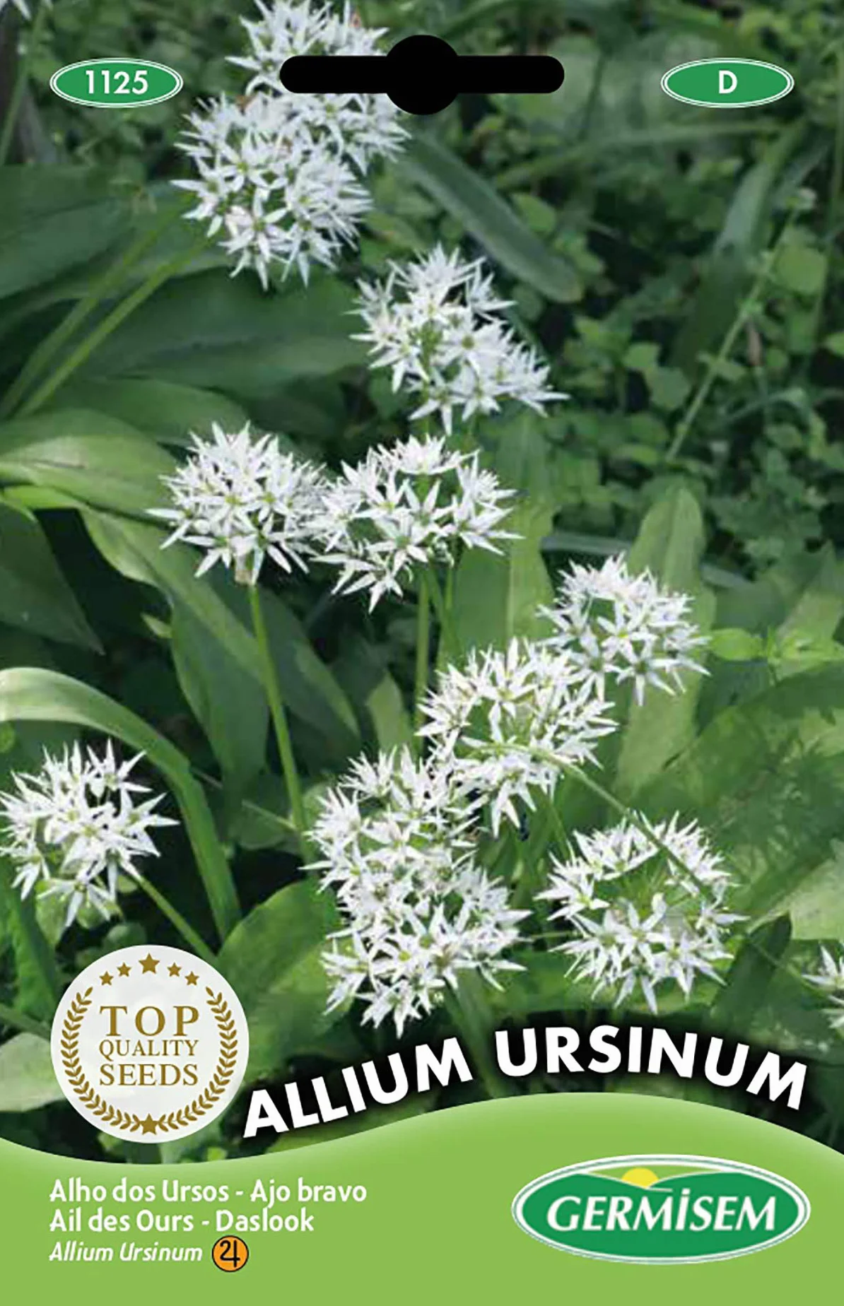 Germisem graines Ail des Ours ALLIUM URSINUM