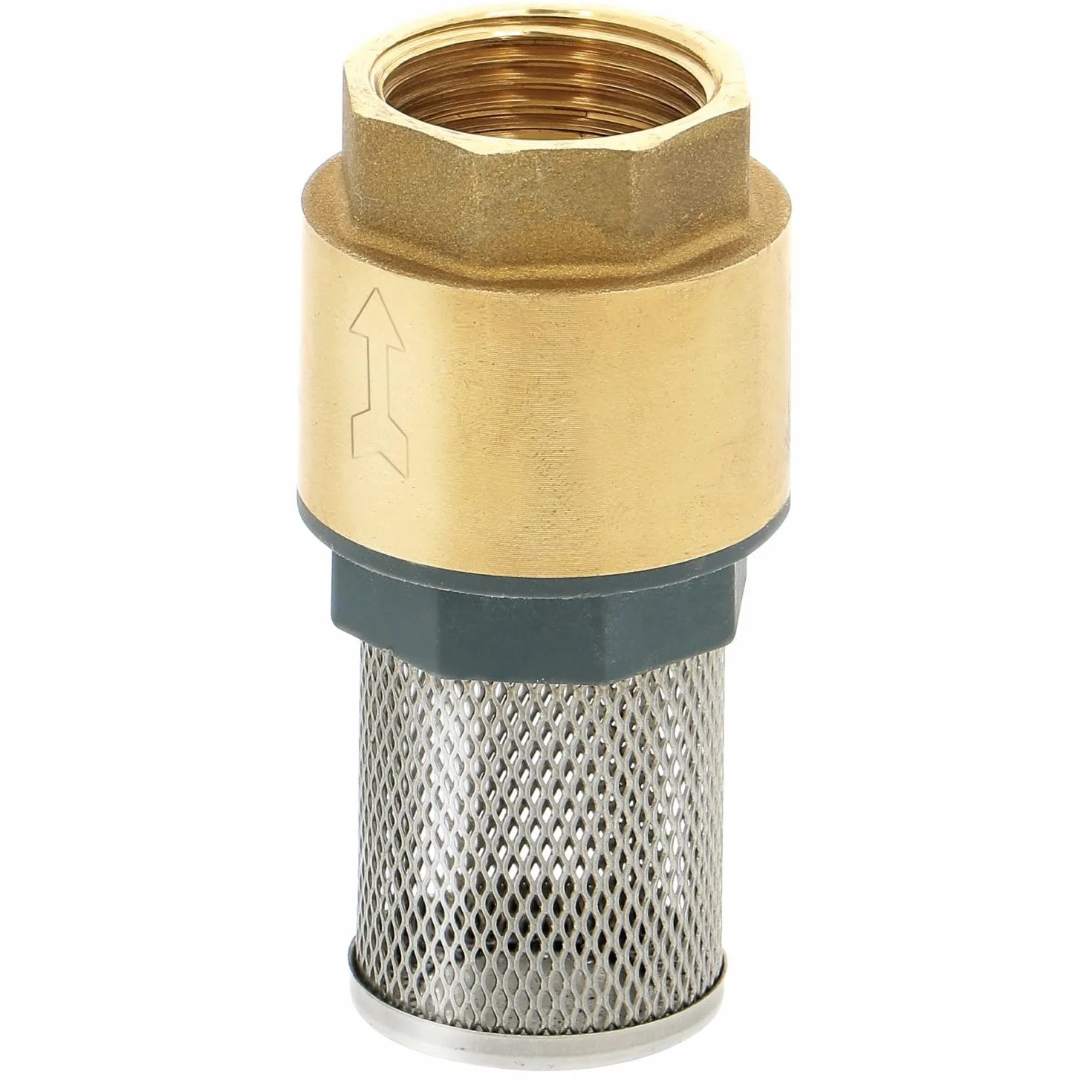 Clapet Crépine à Ressort Laiton avec Filtre Inox - Aspiration Pompe - Filetage Femelle (F 33/42)