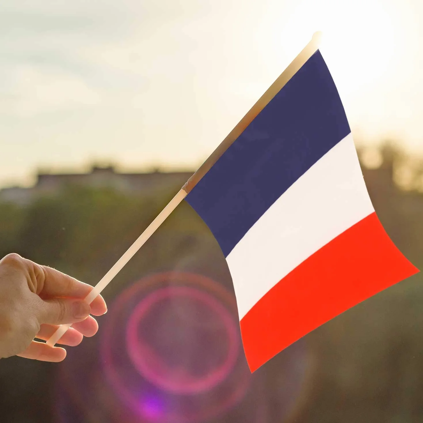 10 drapeaux Français en nylon tricolore à main pour le 14 Juillet TRIXES