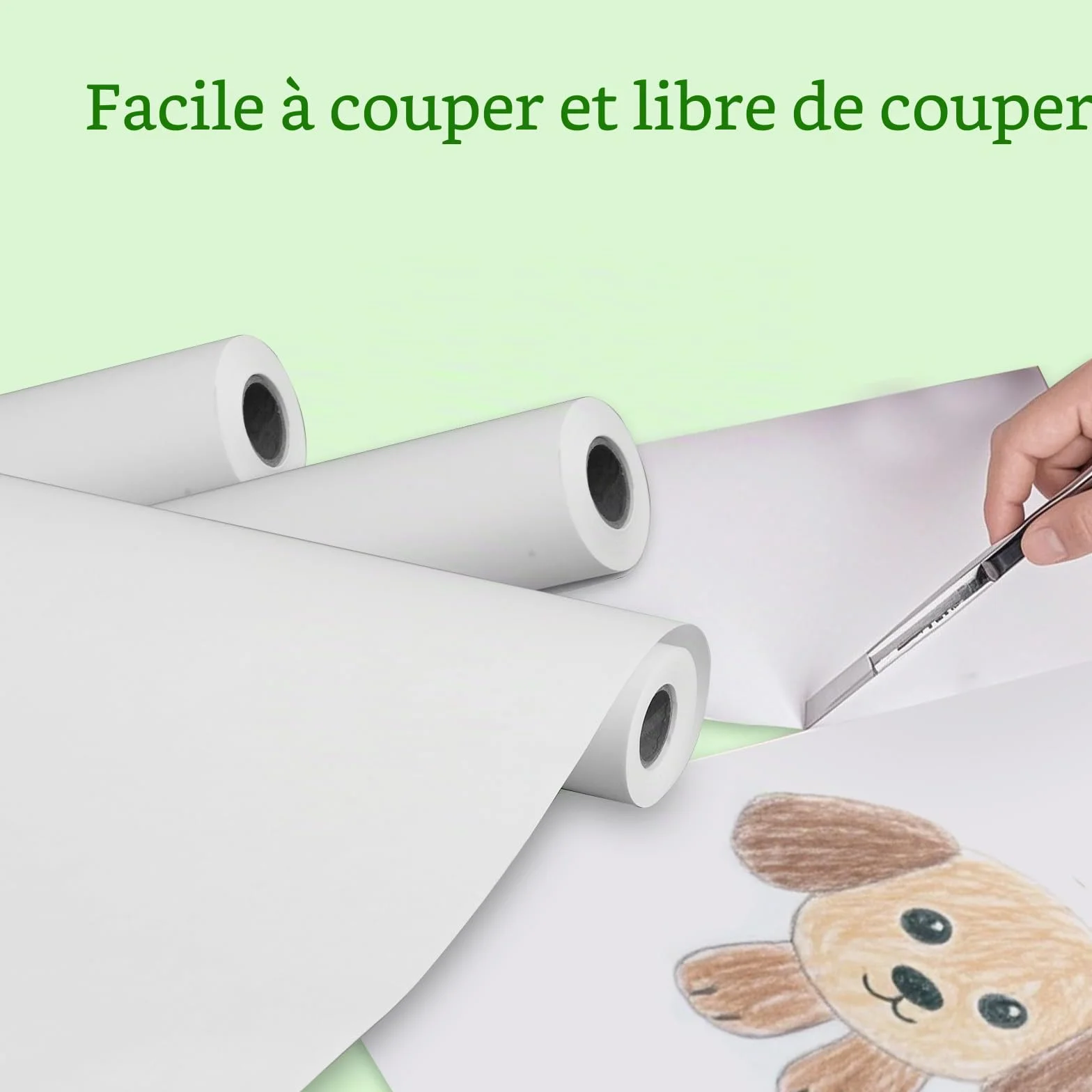 Rouleau de papier dessin RMIVEGLIA 44 cm x 15 m, blanc recyclé