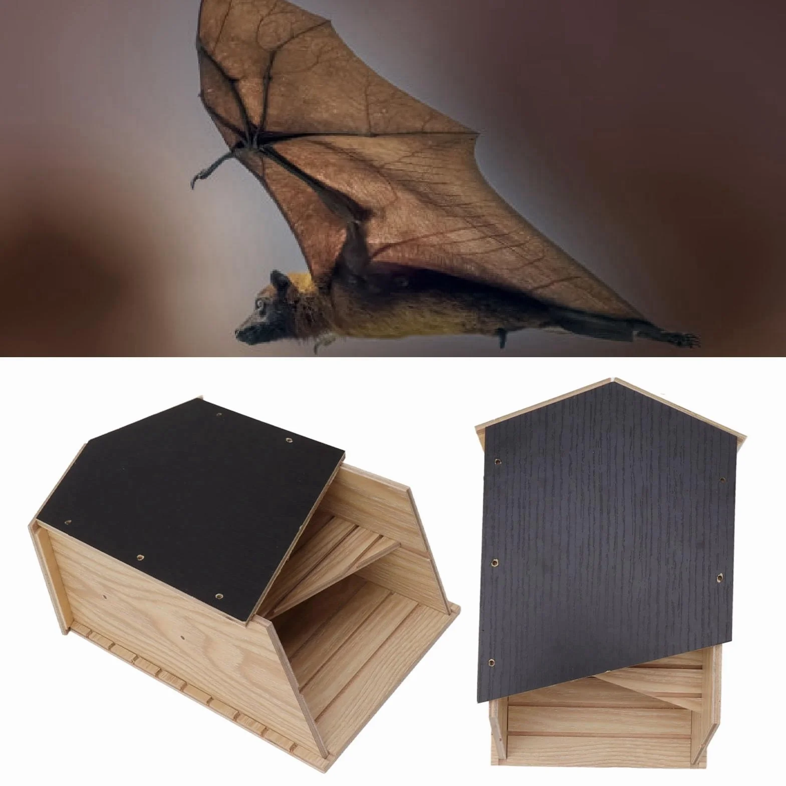 Maisons de Chauve-Souris en Bois, Boîte à Chauves-Souris Double Chambre pour l'extérieur