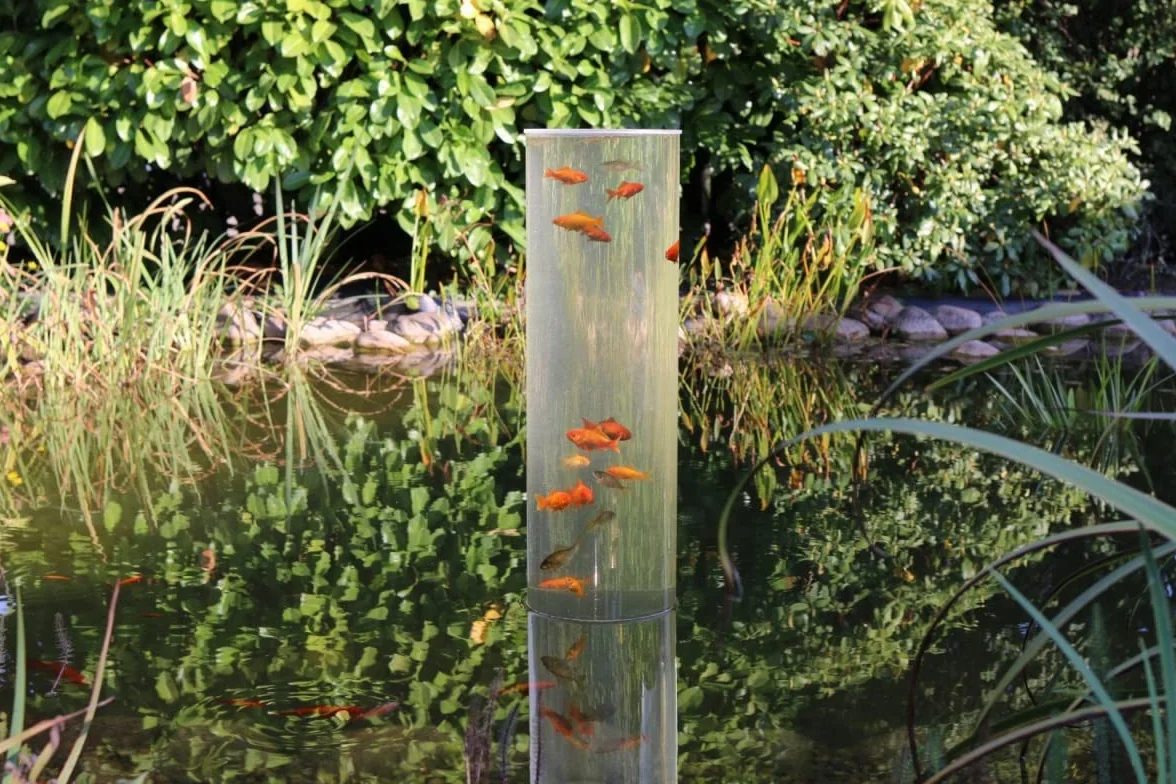 PLEXIGLAS Colonne à poissons 100 cm x 20 cm Art aquatique