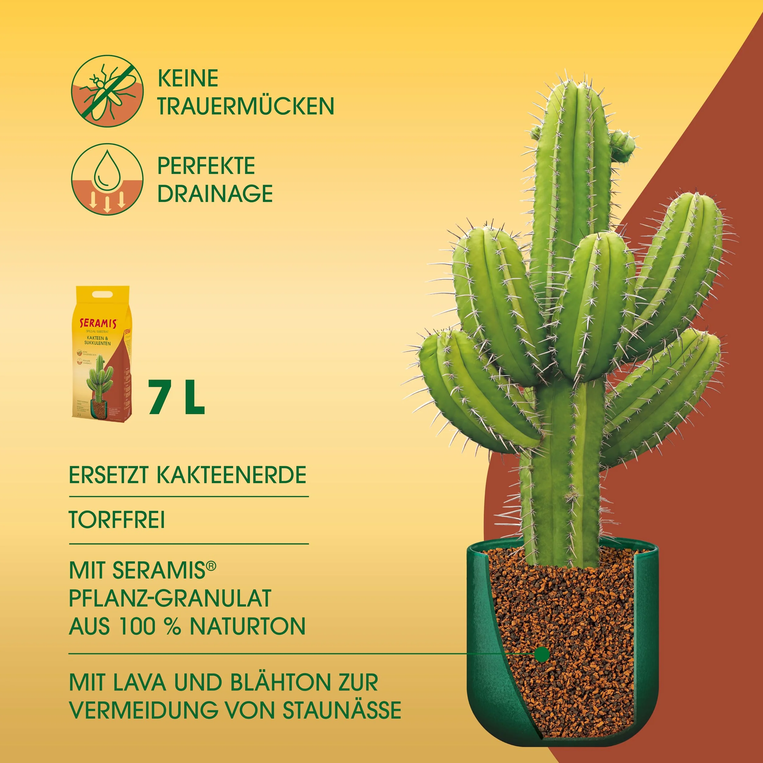 Seramis granulés pour cactus et plantes grasses, Billes d’argile, 7 L