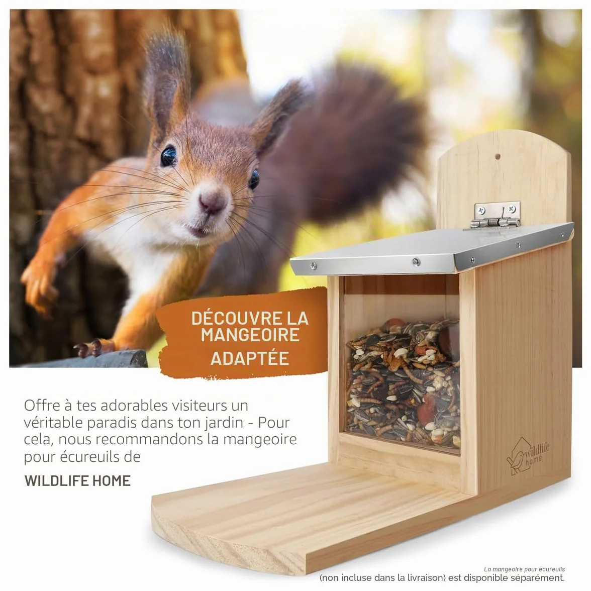 Wildtier Liebe Nourriture pour écureuils 2 kg pour écureuils et tamias