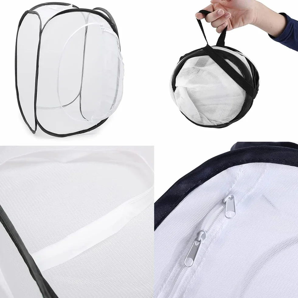 Cage d'habitat pour Insectes et Papillons, Pliable, Portable, 40x40x60cm, Blanc-Noir