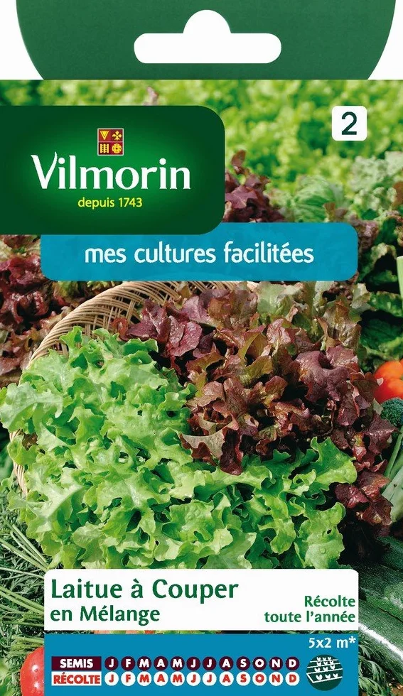 Vilmorin Pack de Graines Laitue à Couper Mélange Bol Vert/Rouge