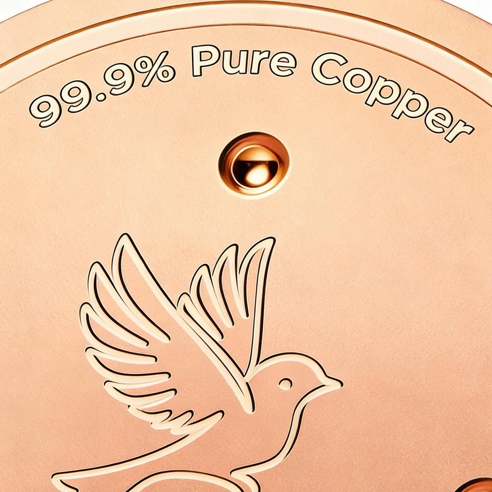 Disque à oiseaux en cuivre 20,3 cm plateau de bain résistant à la rouille fontaine accessoire