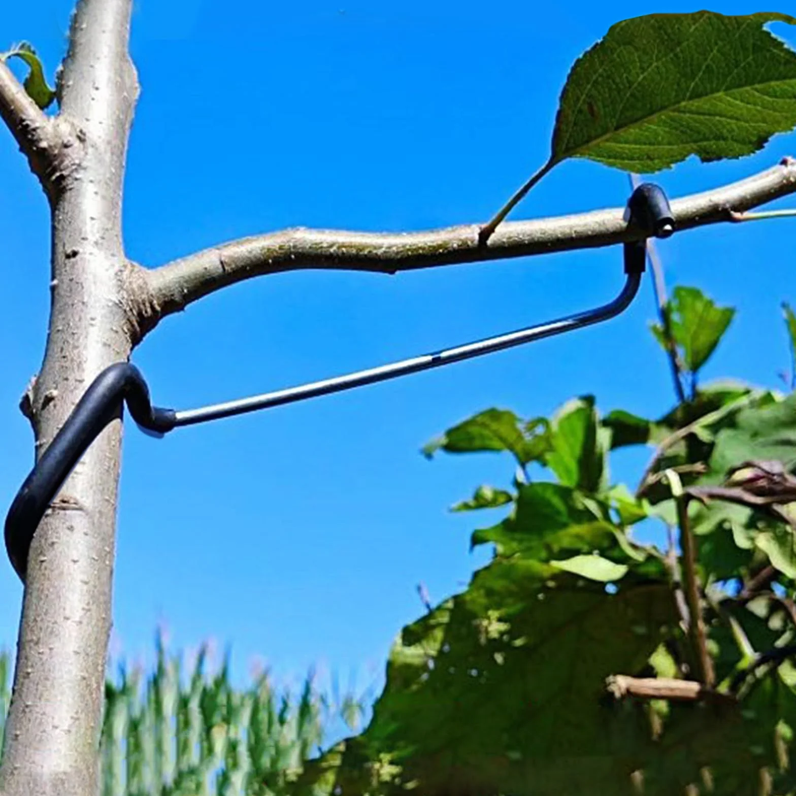 Lot de 20 épandeurs de branches d'arbres fruitiers - Support d'arbre - 17,8 cm