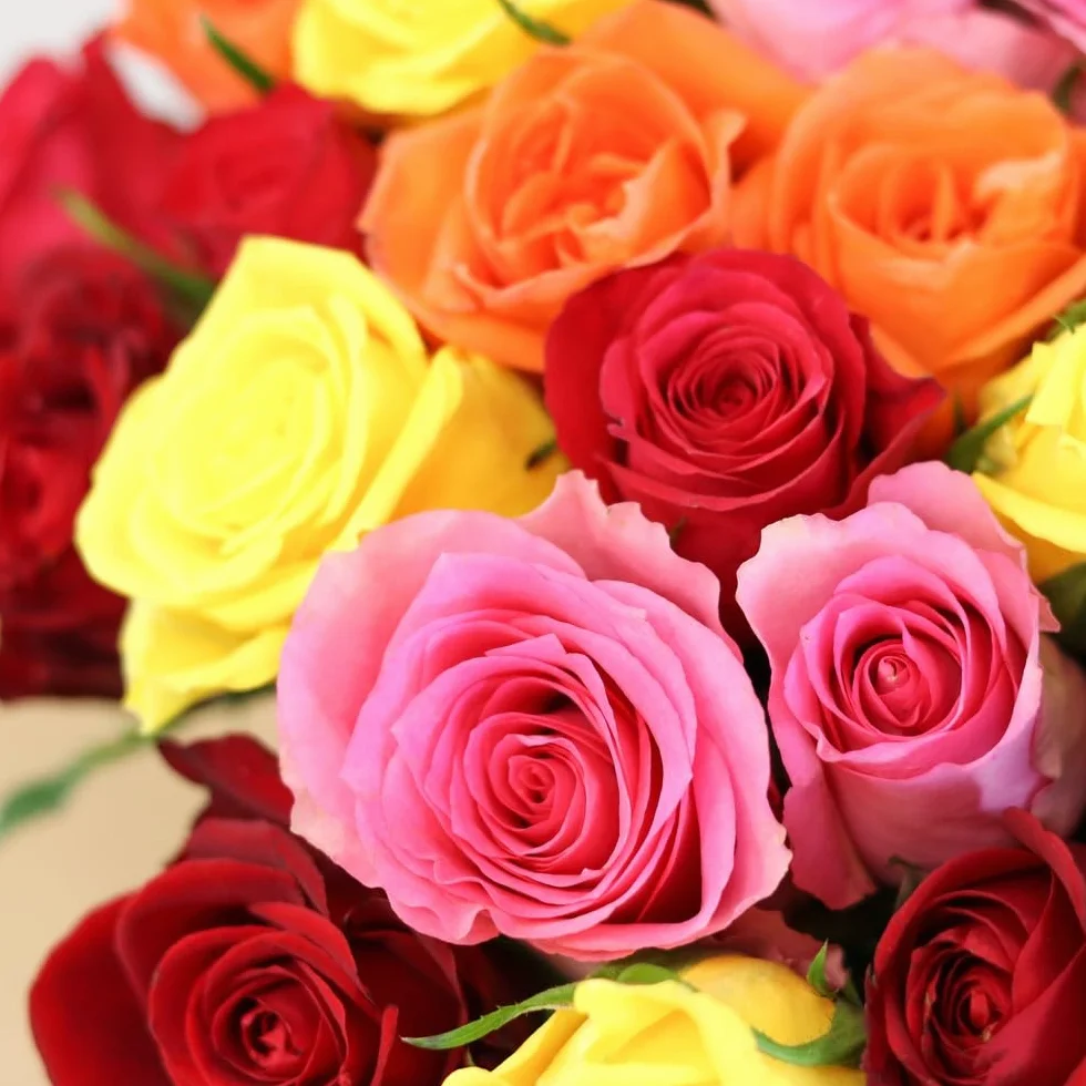 Fleurs et Délices Brassée de Roses Multicolores Très Grand Bouquet 55 Tiges Cadeau Anniversaire Saint-Valentin