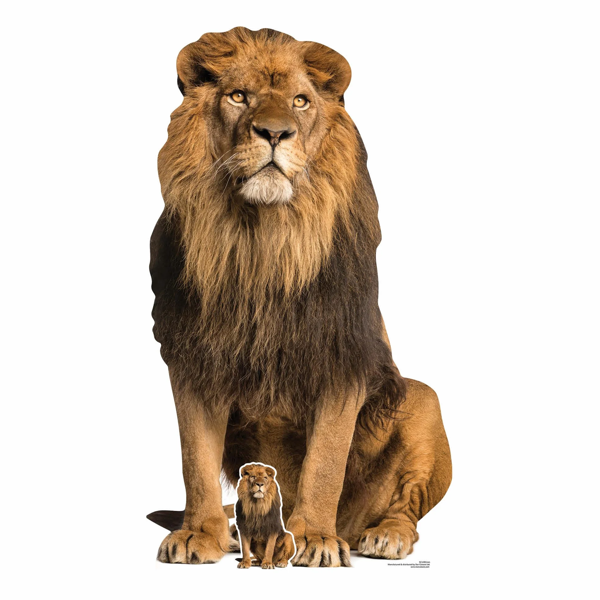 STAR CUTOUTS Lion Assis en Carton Adulte 155 cm Décoration Animaux Fête Anniversaire