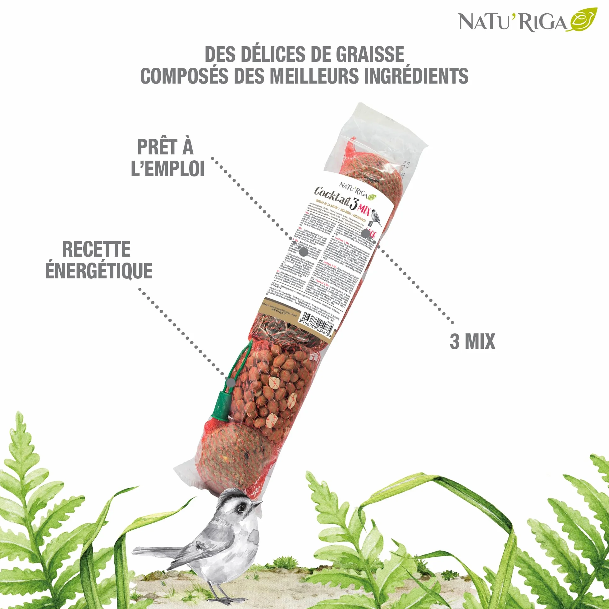 Riga NATU'RIGA Cocktail 3 Mix Graisses Et Céréales Nourriture Oiseaux Extérieur 400G