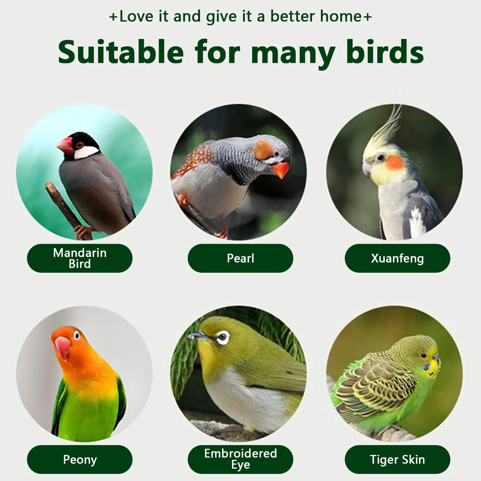 Boîte D'élevage de Perroquets en Bois Massif Nichoir Volière pour Oiseau D'amour Perruche