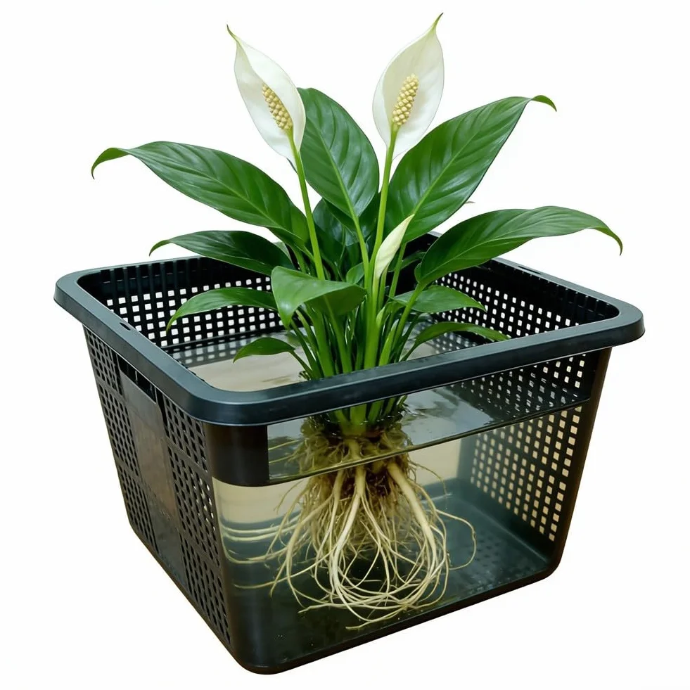 Lot de 4 paniers de plantes hydroponiques en maille pour DWC et culture drainage