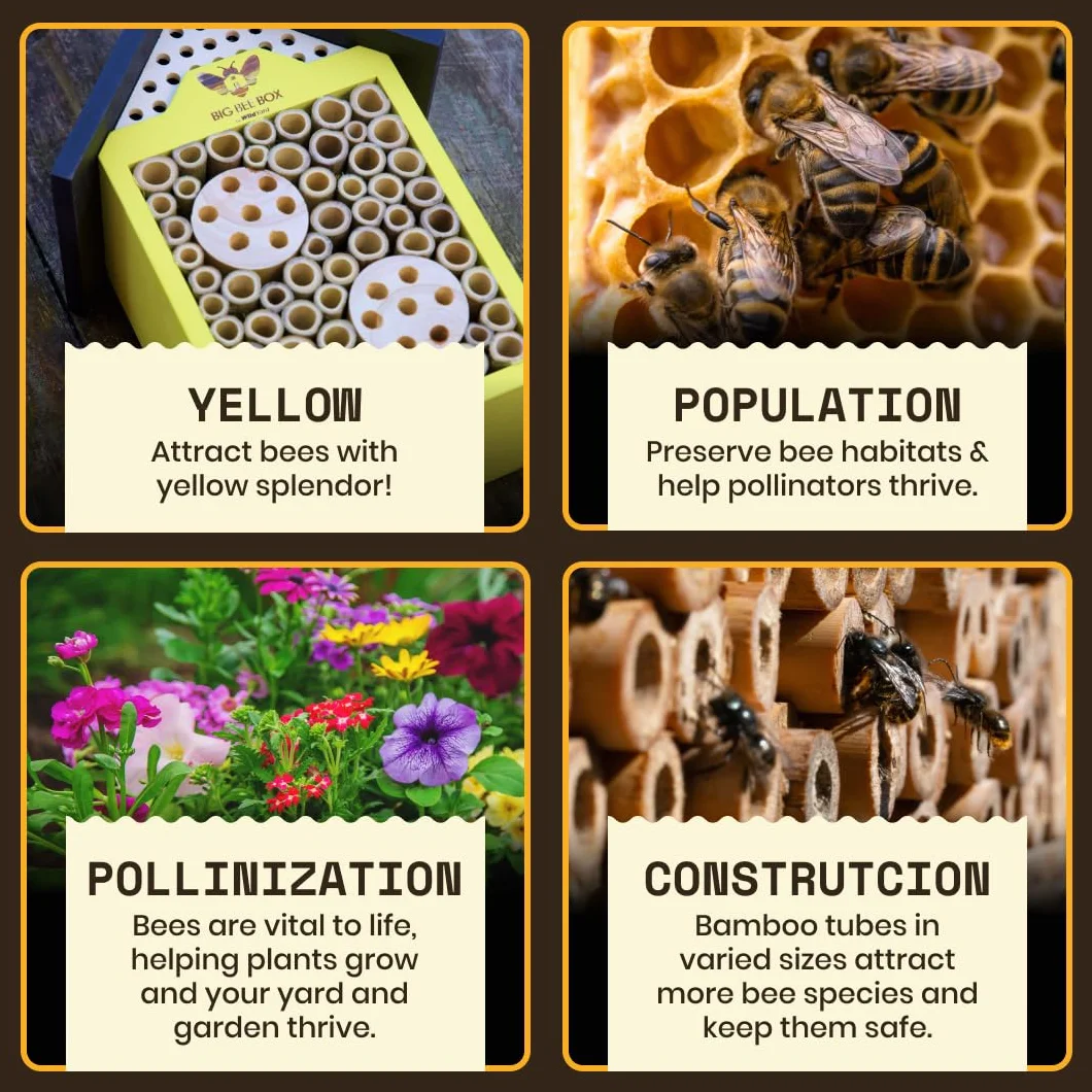 WildYard Boîte à Abeilles en Bois Naturel résistant aux intempéries pour pollinisateurs