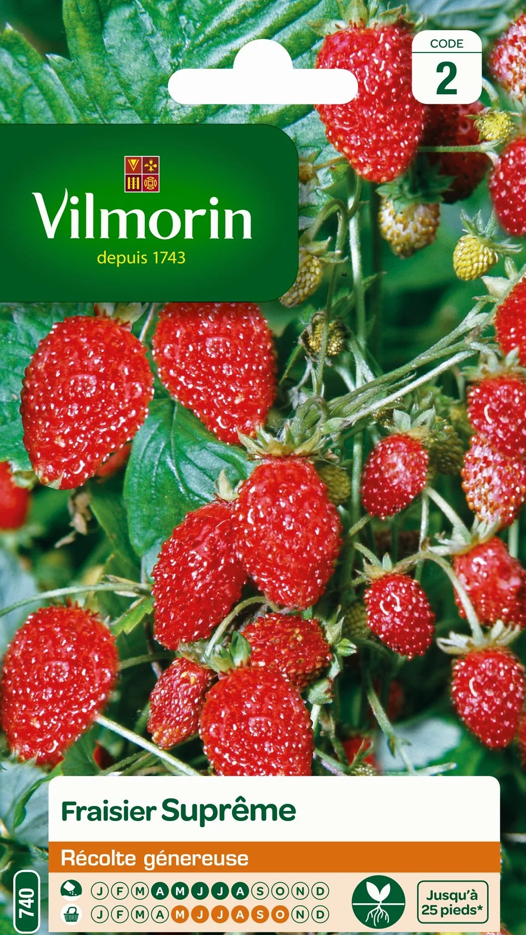 Vilmorin Pack de Graines Fraisier 4 Saisons Suprême