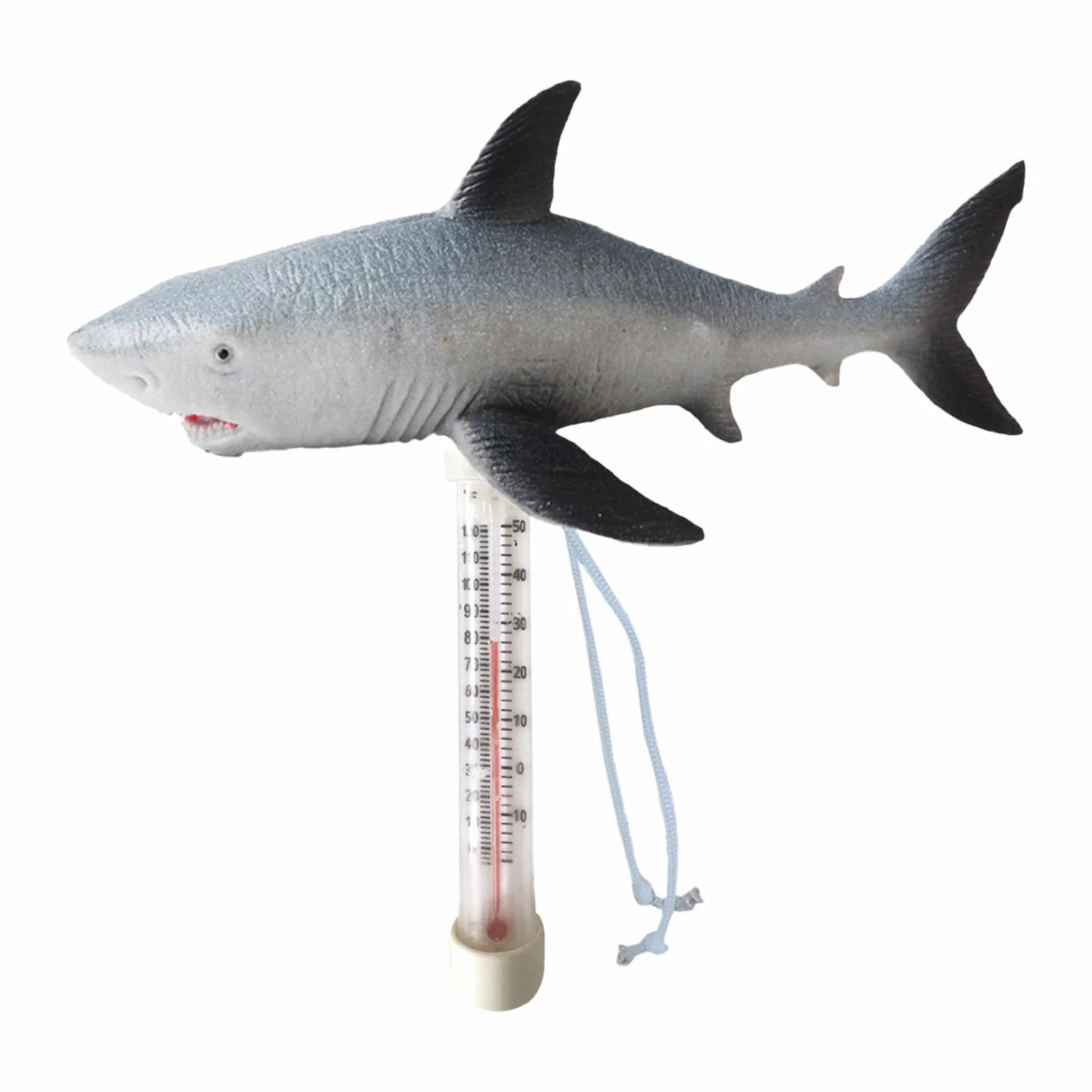 Thermomètre Flottant pour Piscine avec Cordon Intérieur Extérieur