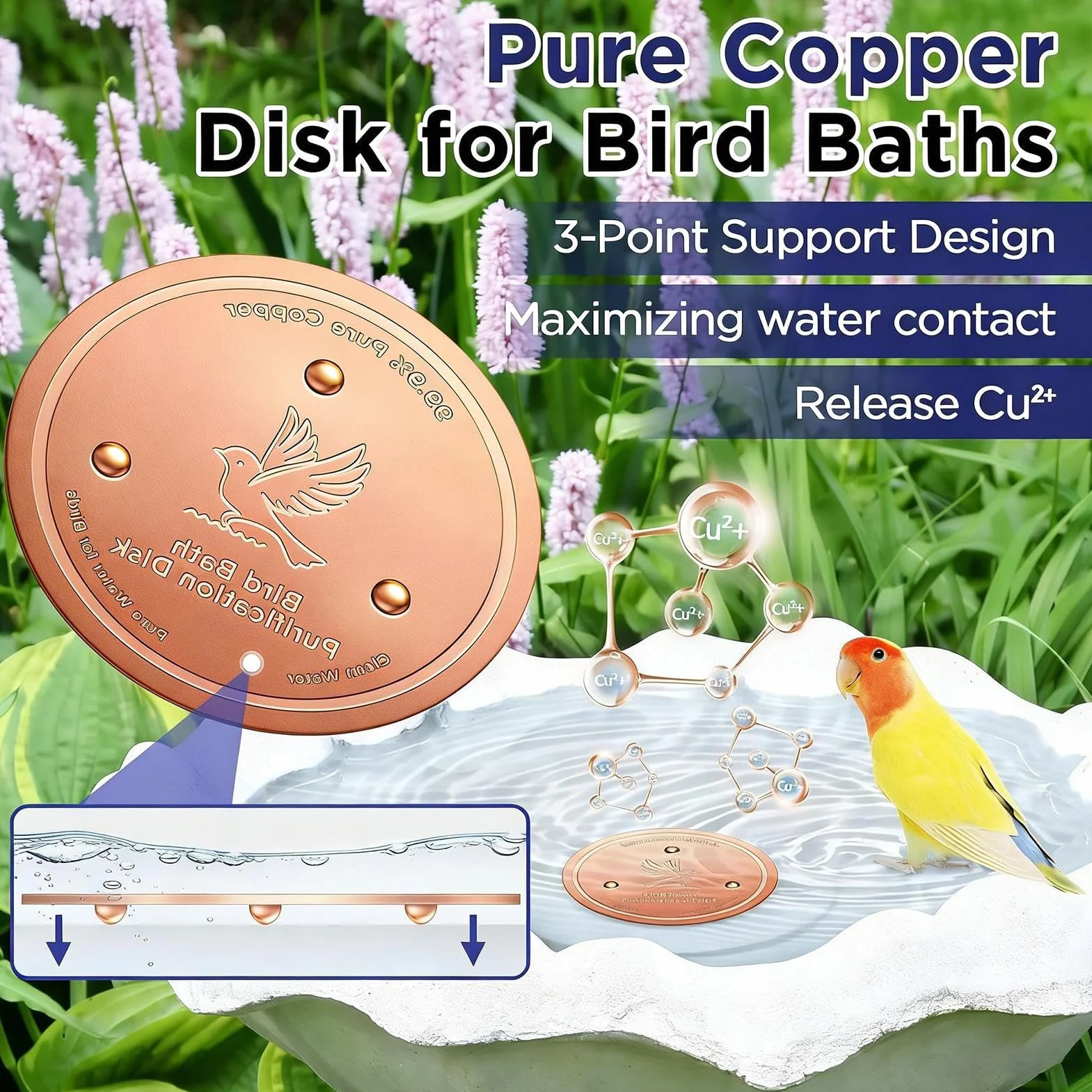Disque à oiseaux en cuivre 20,3 cm plateau de bain résistant à la rouille fontaine accessoire
