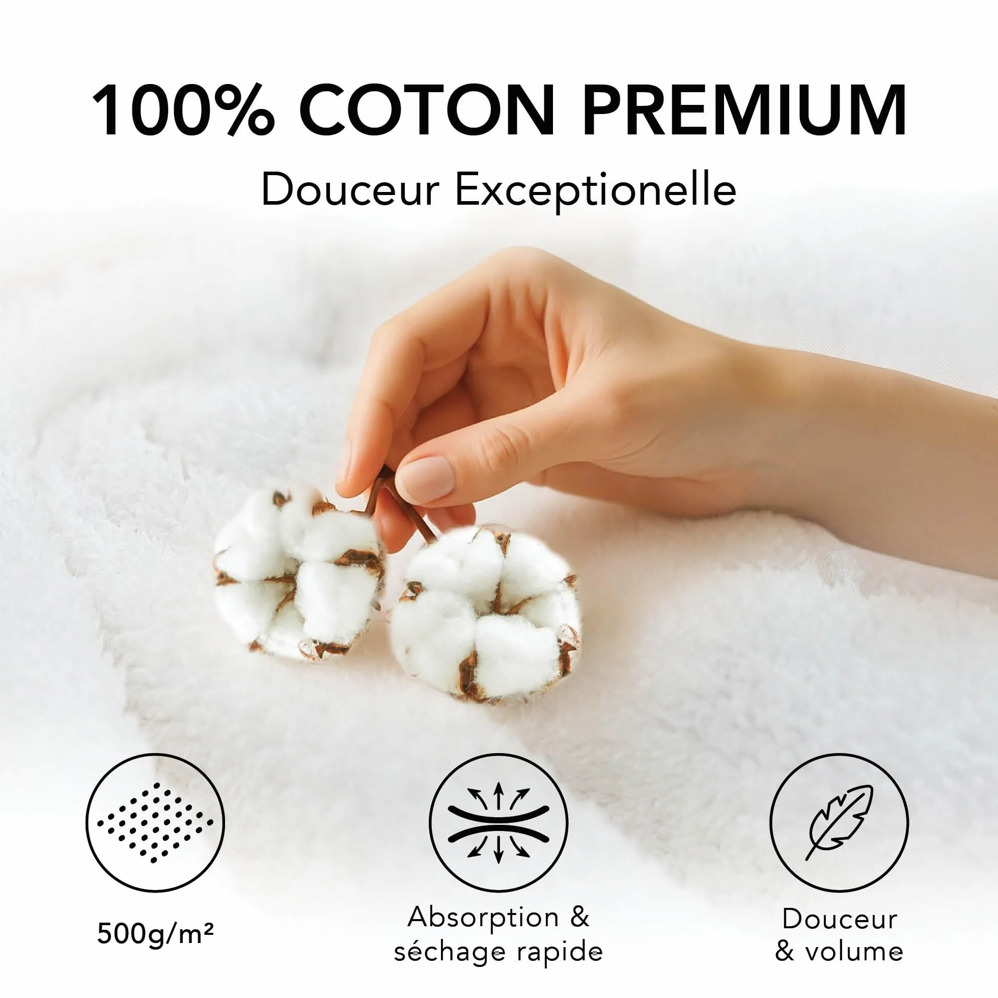 Gants de Toilette 15x20 cm Vert Sapin Coton 500 g/m² Oeko TEX Lot de 10