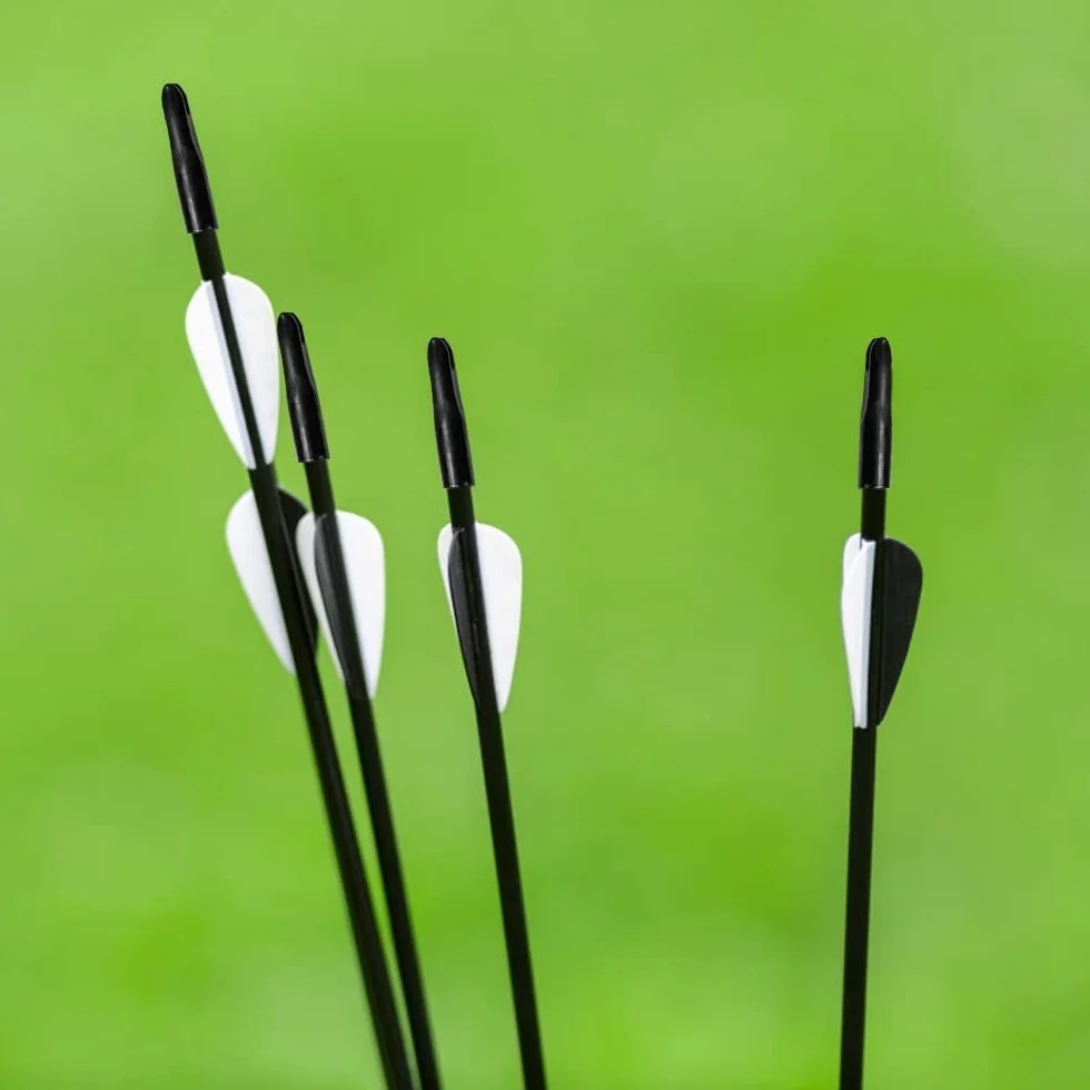 DONGKER Cames de flèche en plastique pour tir à l'arc, 6 mm, lot de 20