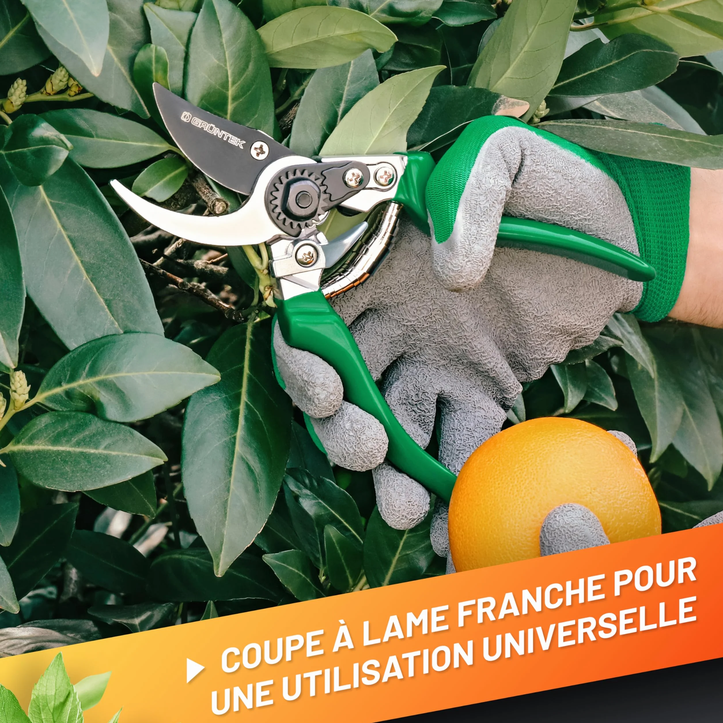 GRÜNTEK Sécateur de Jardin Professionnel Acier Japonais Teflon