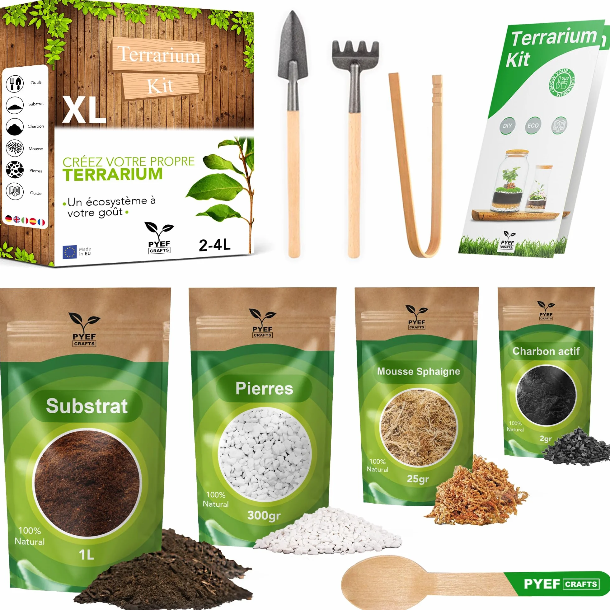 Kit Terrarium Plante DIY Prêt-à-Pousser Jardin en Bouteille XL