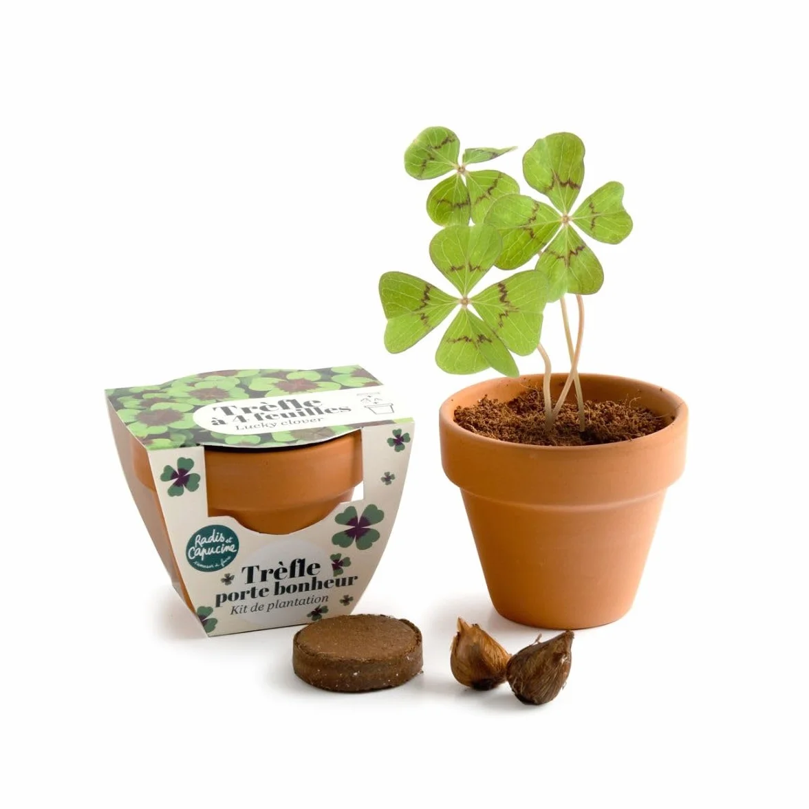 Radis et Capucine Mini kit de culture Trèfle 4 feuilles 6cm