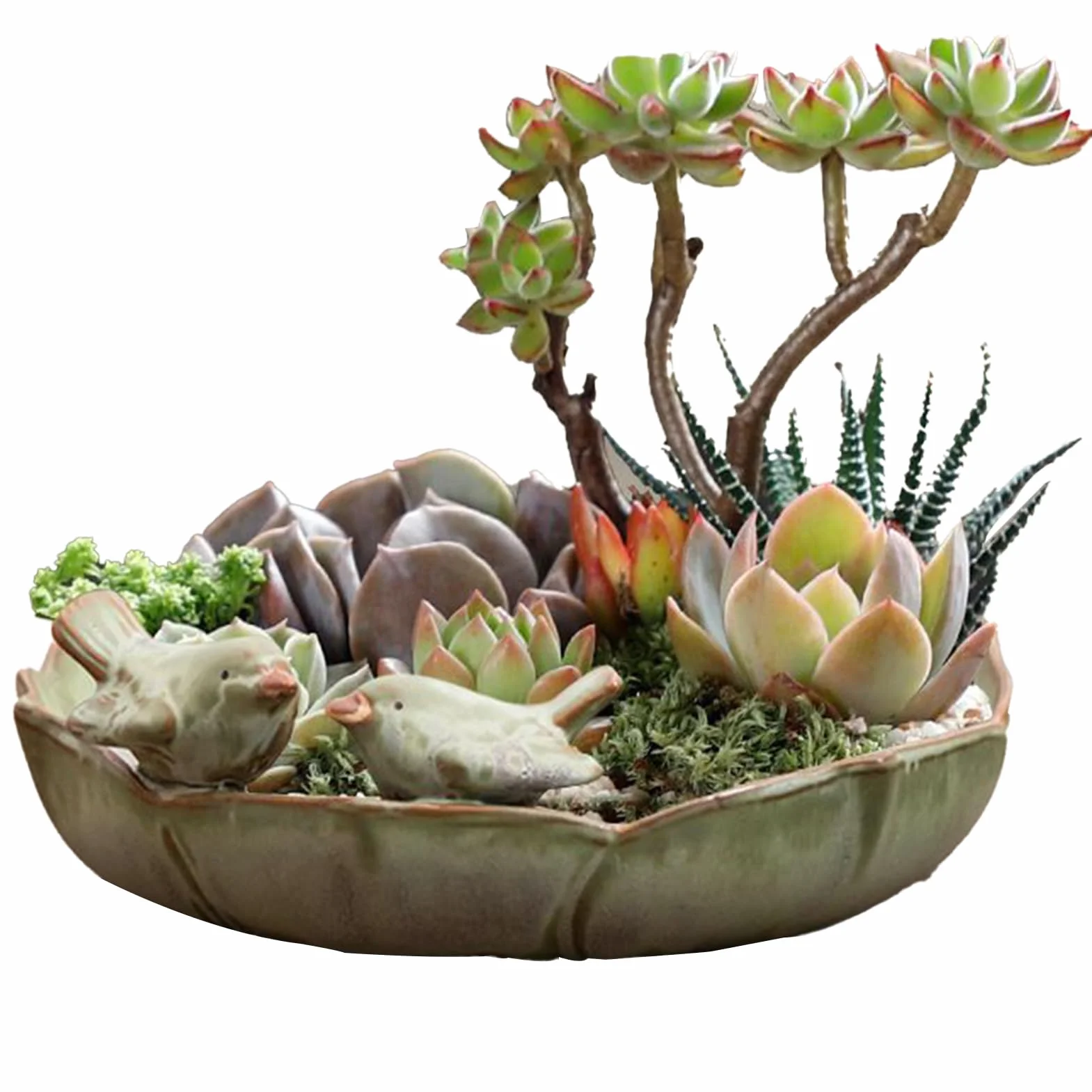 Mangeoire de bain pour oiseaux en céramique avec 2 oiseaux décoratifs pour extérieur