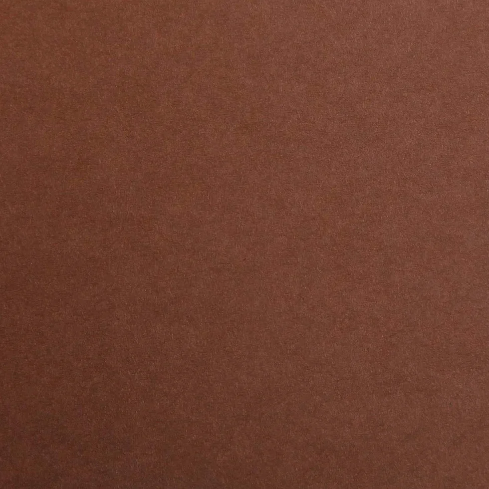 Clairefontaine 975261C Papier Maya 25 Feuilles Papier Dessin Lisse Marron A4 21x29,7 cm 185g
