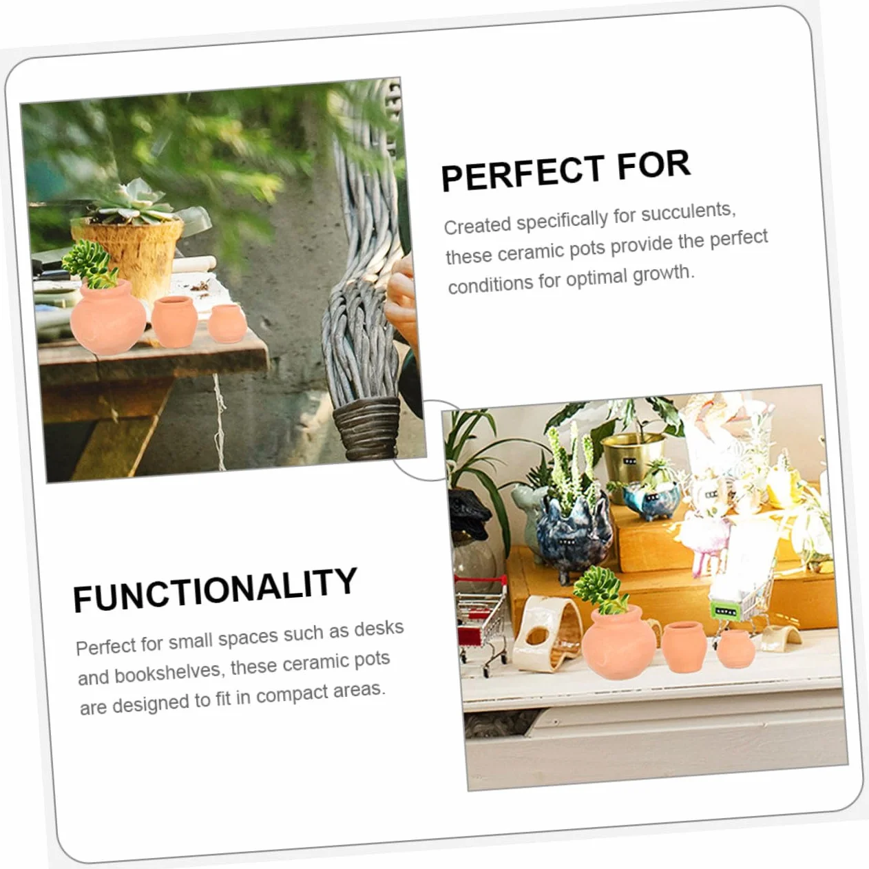 Lot de 12 Mini Pots pour Plantes Succulentes Intérieur Extérieur
