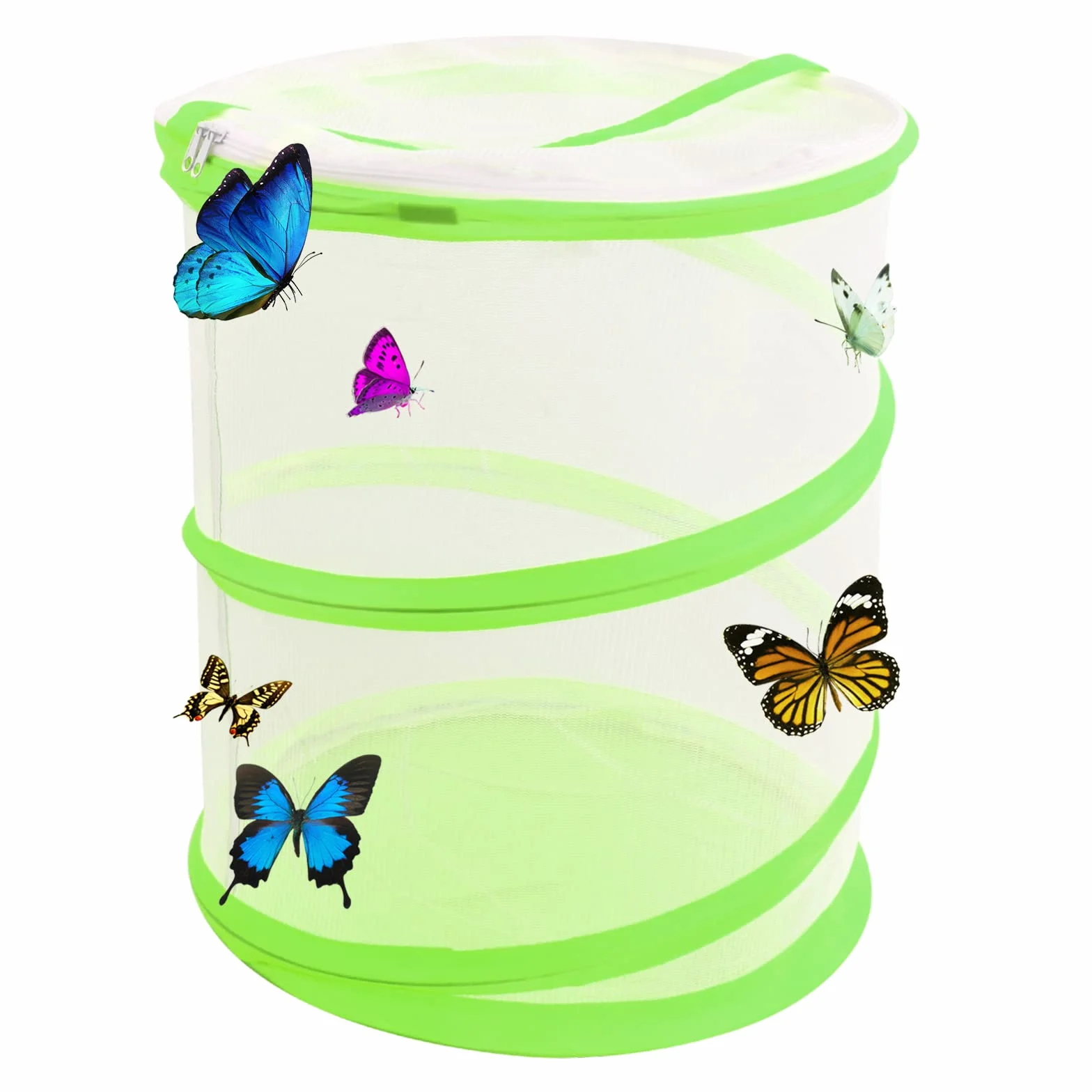 Cage à Papillon Pliable 35cm Maille Insecte Élevage Serre Pop Up Pour Enfants Jardin Vert