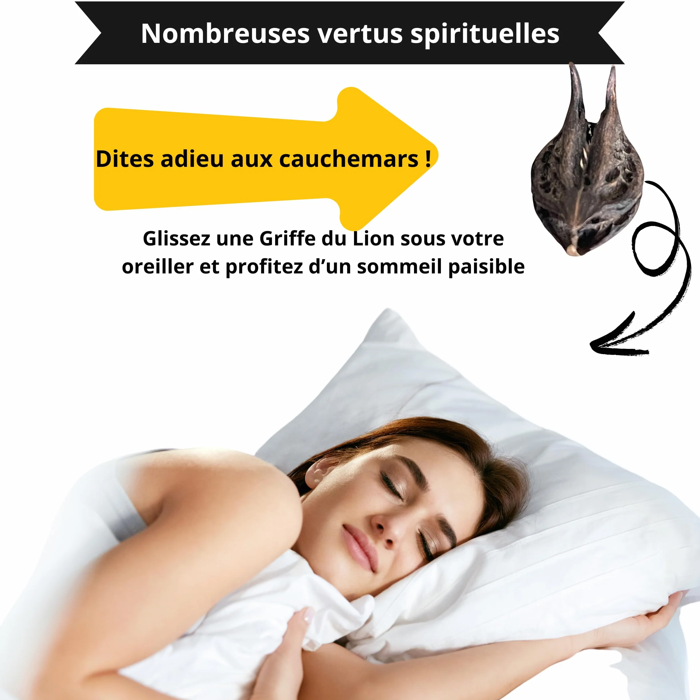 Griffes du Lion 20 Pièces Martynia Annua Bicorne Séché Soin Ayurvédique Herboristerie Protection Énergétique