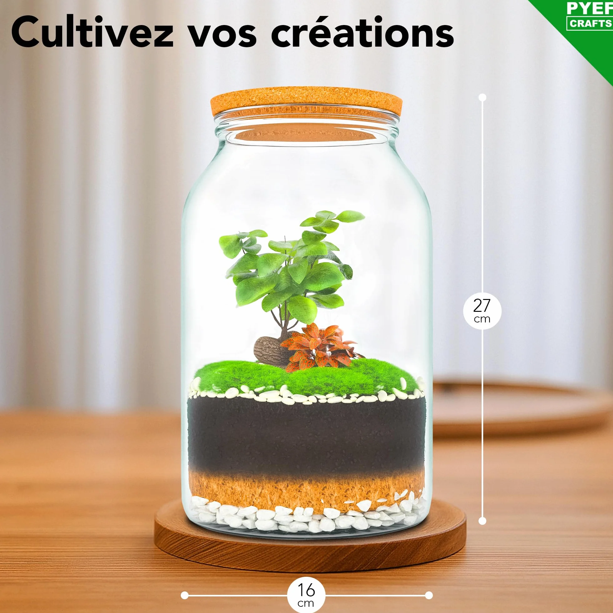 Terrarium Verre XL Kit DIY 4L Jardin en Bouteille