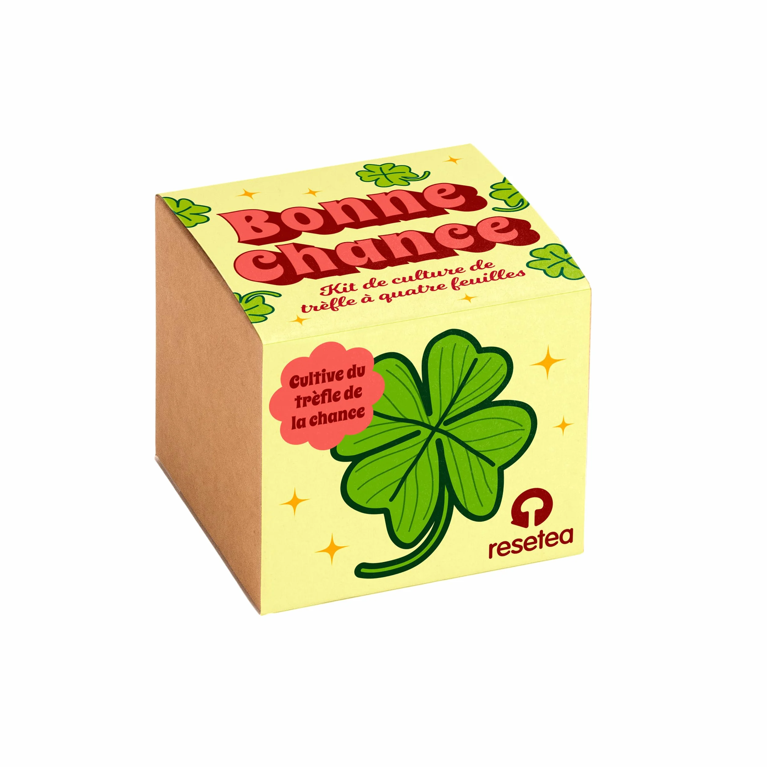 Oxalis Deppei Kit de Culture Trèfle à 4 Feuilles Plante Naturelle Porte Chance
