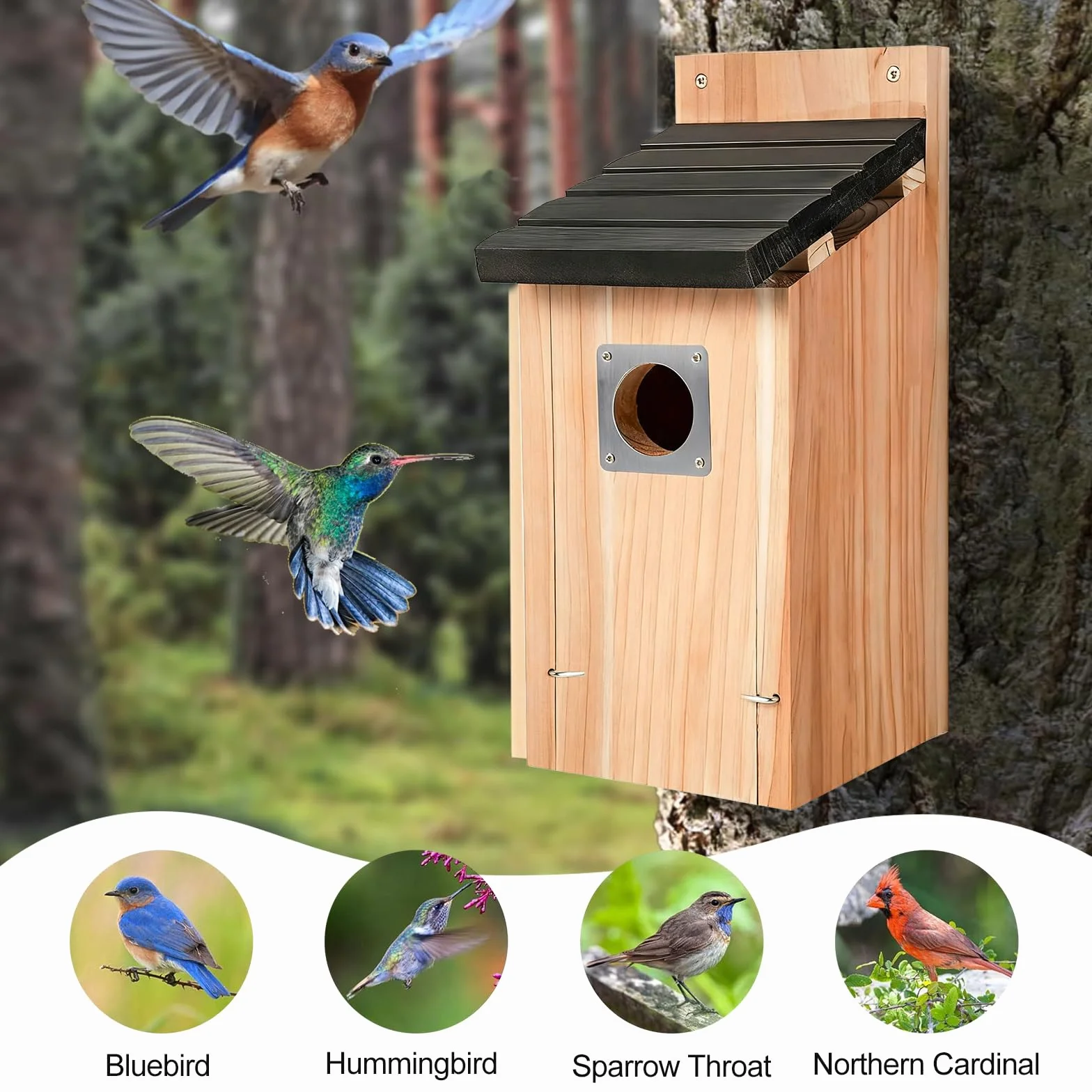 Nichoir pour oiseaux extérieur en bois résistant aux intempéries avec protection rapaces