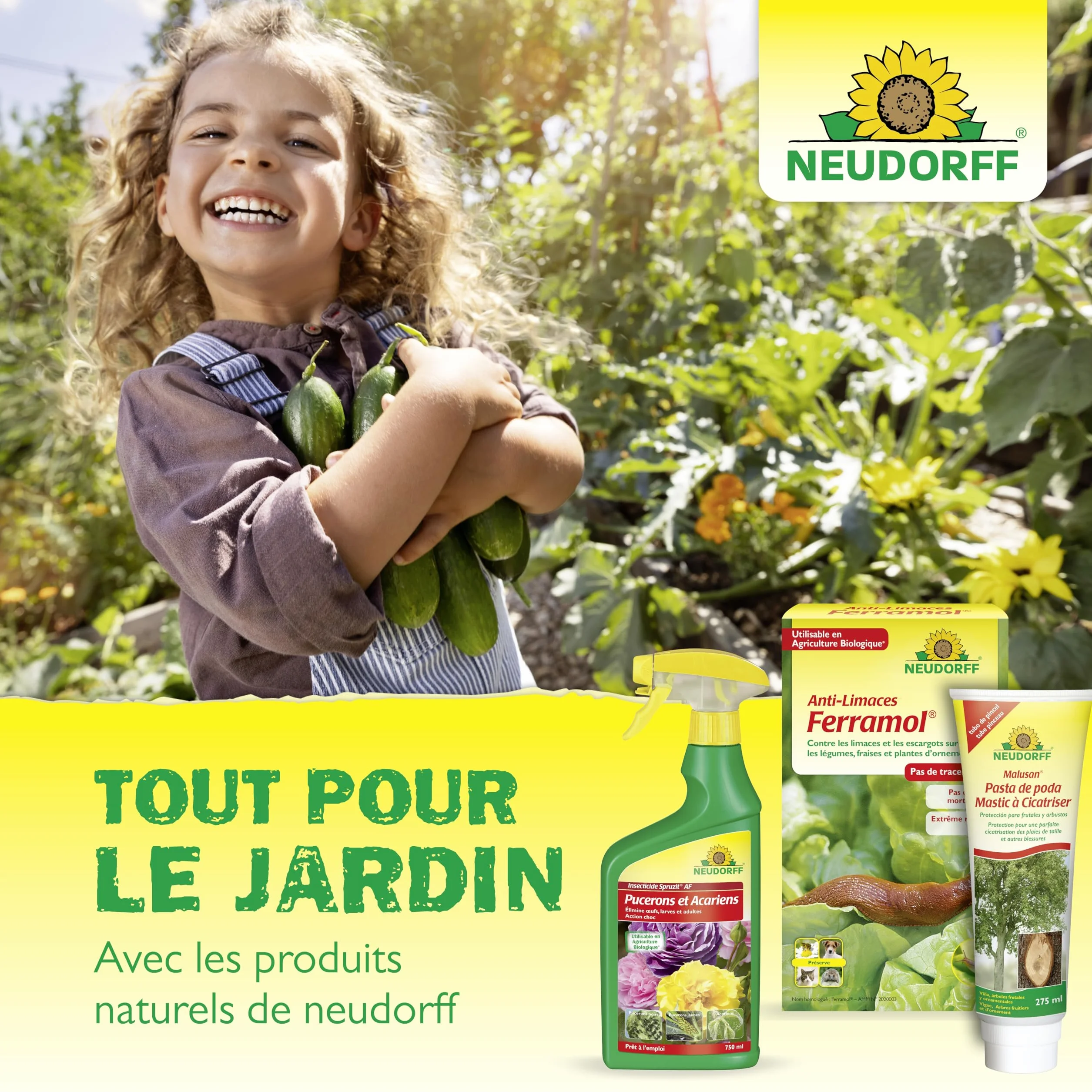 Neudorff Spruzit Insecticide Jardin 750 ml - Prêt à l'emploi contre pucerons, cochenilles et ravageurs