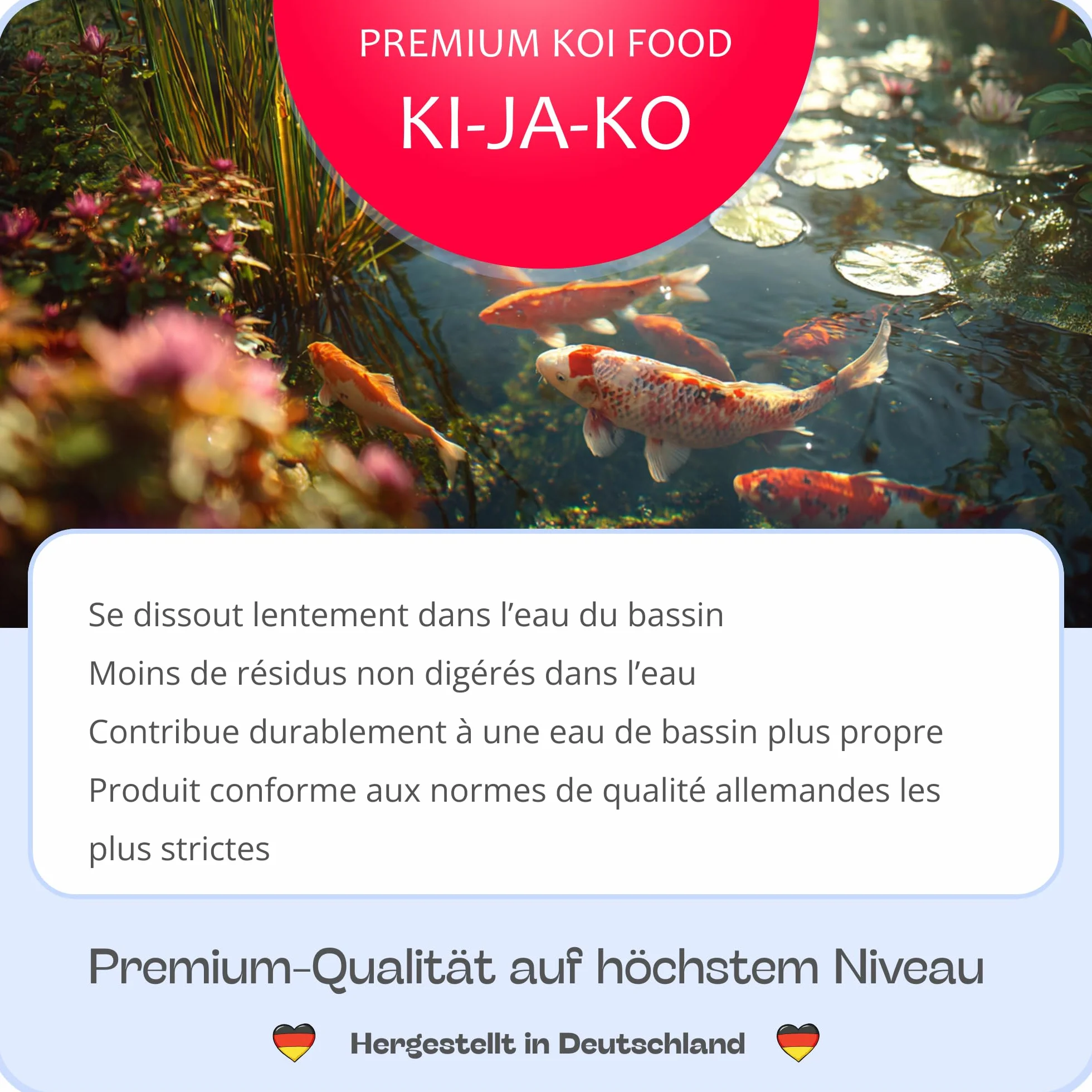 Nourriture pour alevins Carpe koï 500g 2mm prébiotiques probiotiques oméga-3