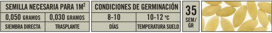 Semillas Batlle Concombre Marketmore 70 Long Moyen Blanche Verte