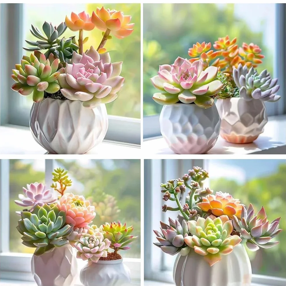 800 Éléments de Succulentes Rares Multicolores Bonsaï DIY Intérieur Miniatures Vivantes