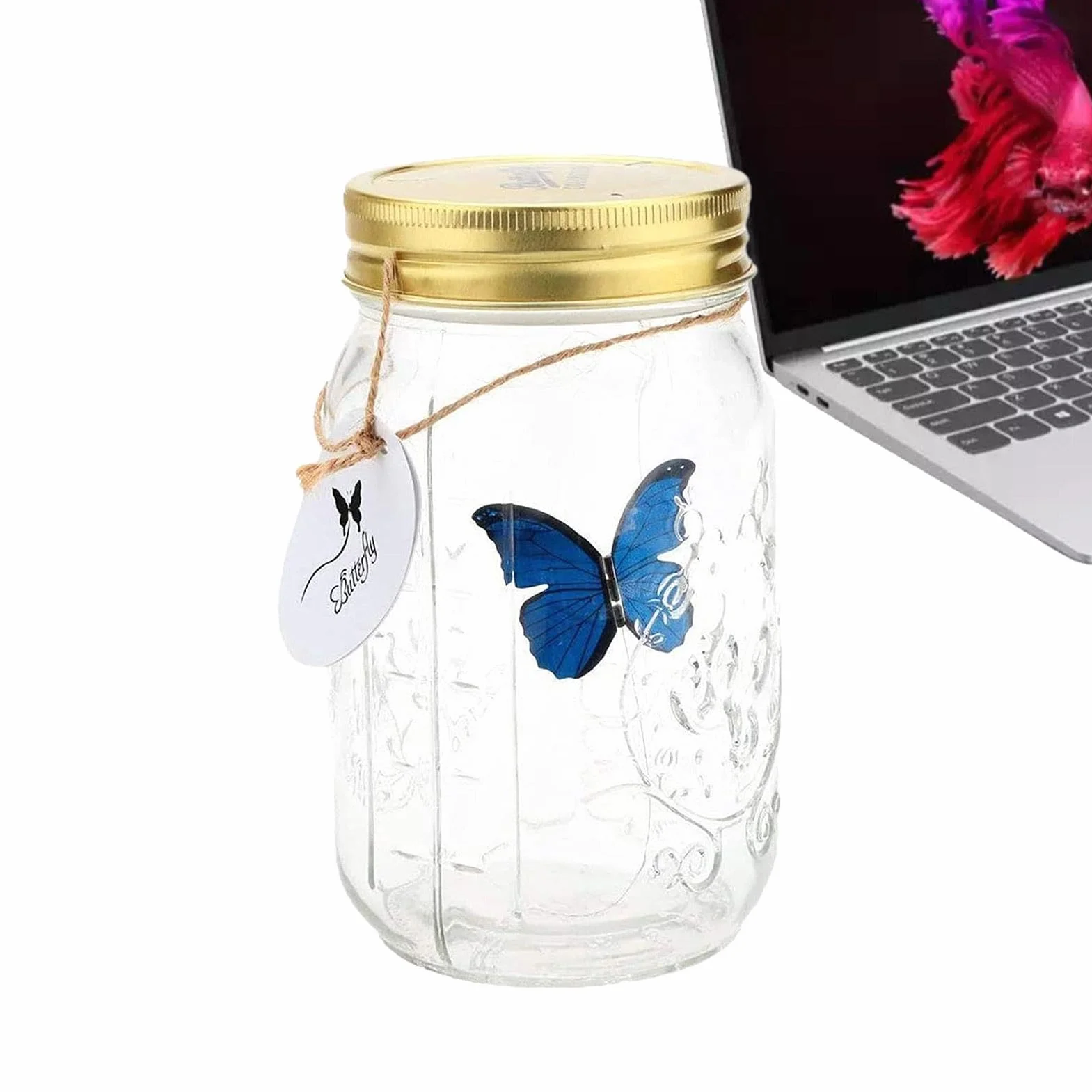 Pot de collection de papillons - Conteneur d'affichage d'insectes avec papillon animé à piles