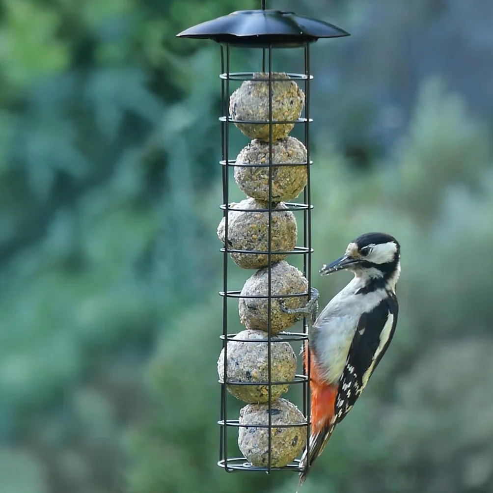 Boules Graisse VÉGÉTALE pour Oiseaux du Jardin – Fabriqué en France – 200 Boules sans Huile de Palme