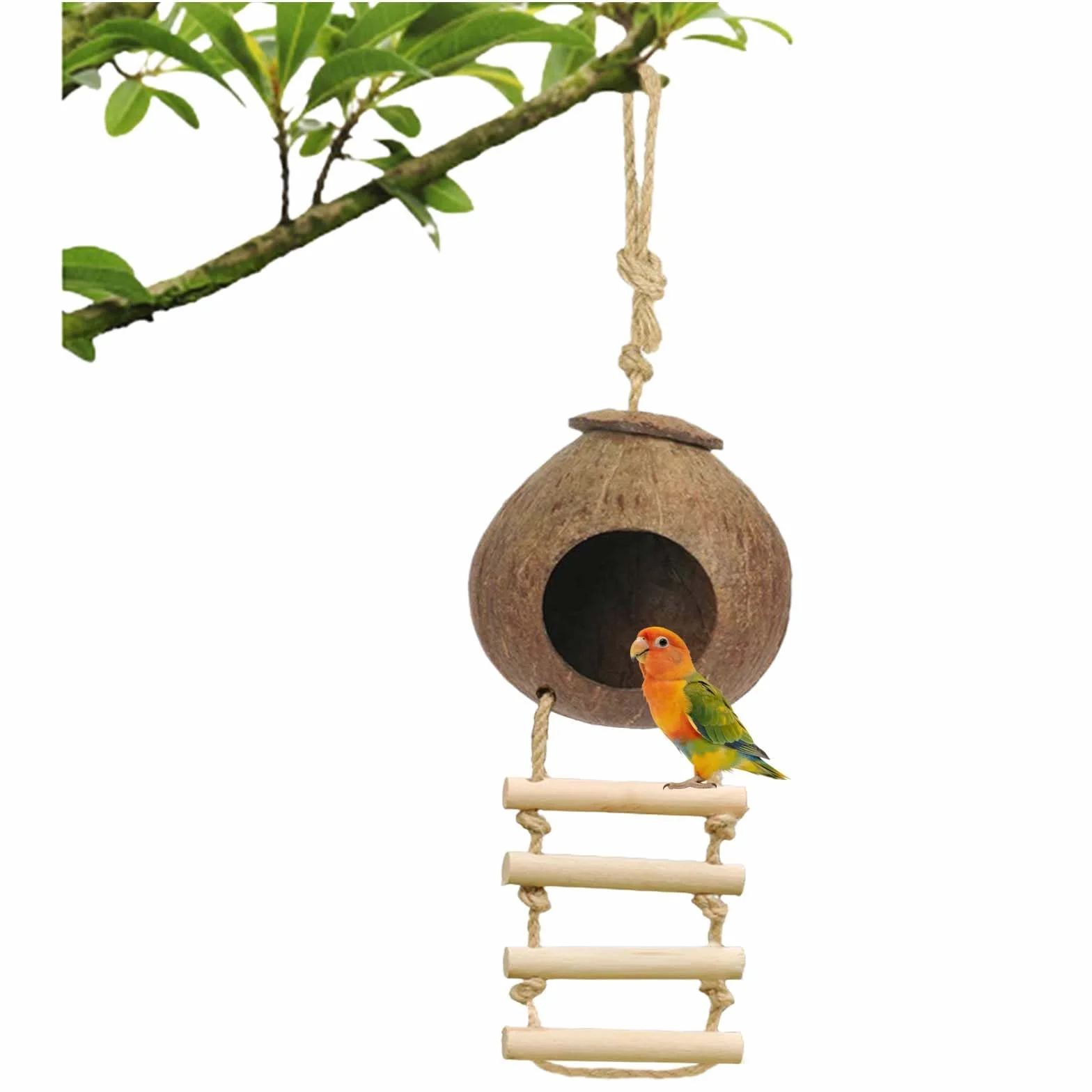 Mangeoire pour oiseaux en noix de coco recyclée Nichoir résistant aux intempéries fabriqué à la main