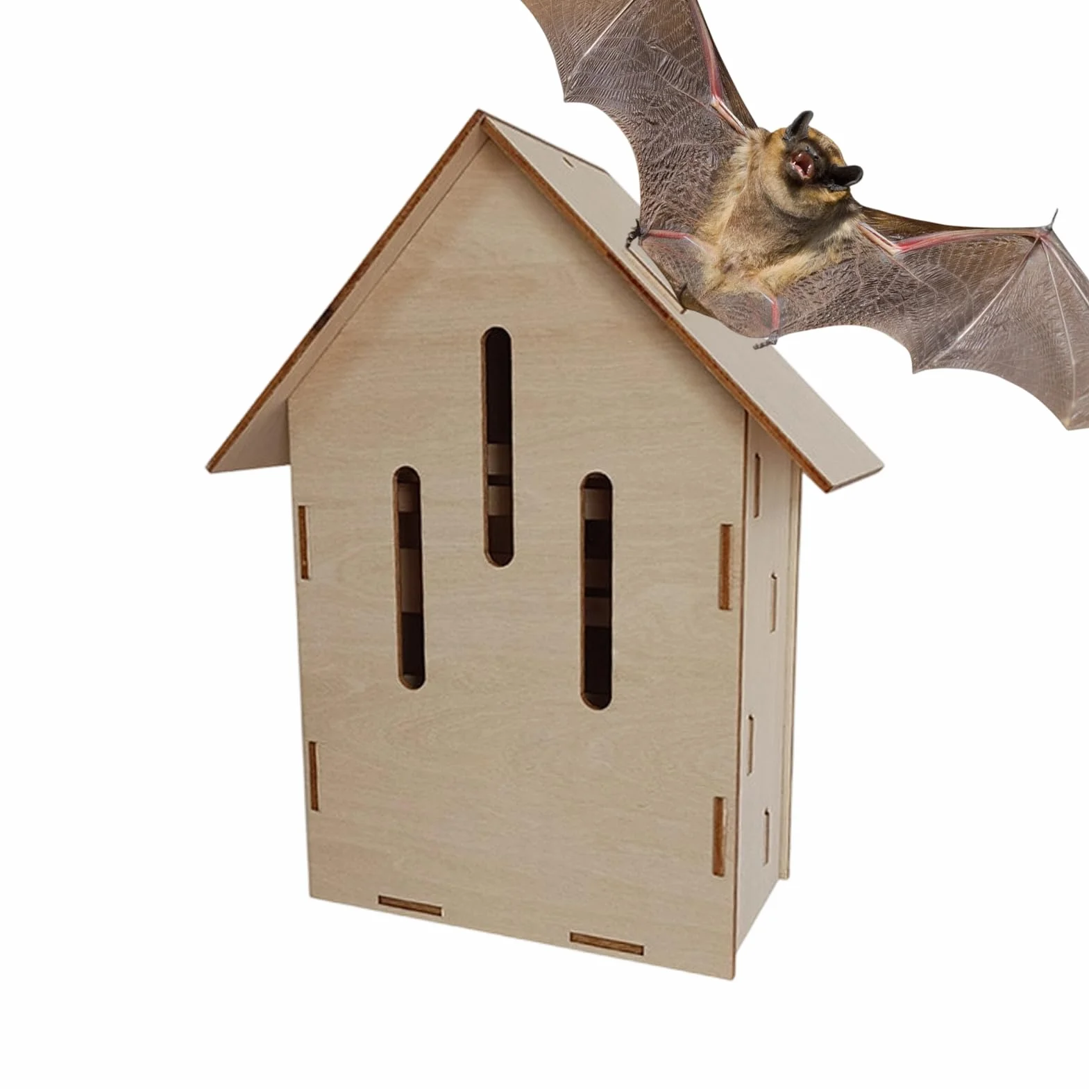 Dortoir À Chauves-Souris Bois Gîte pour Chiroptères Abri Faune Sauvage Durable Maison Jardin Extérieure
